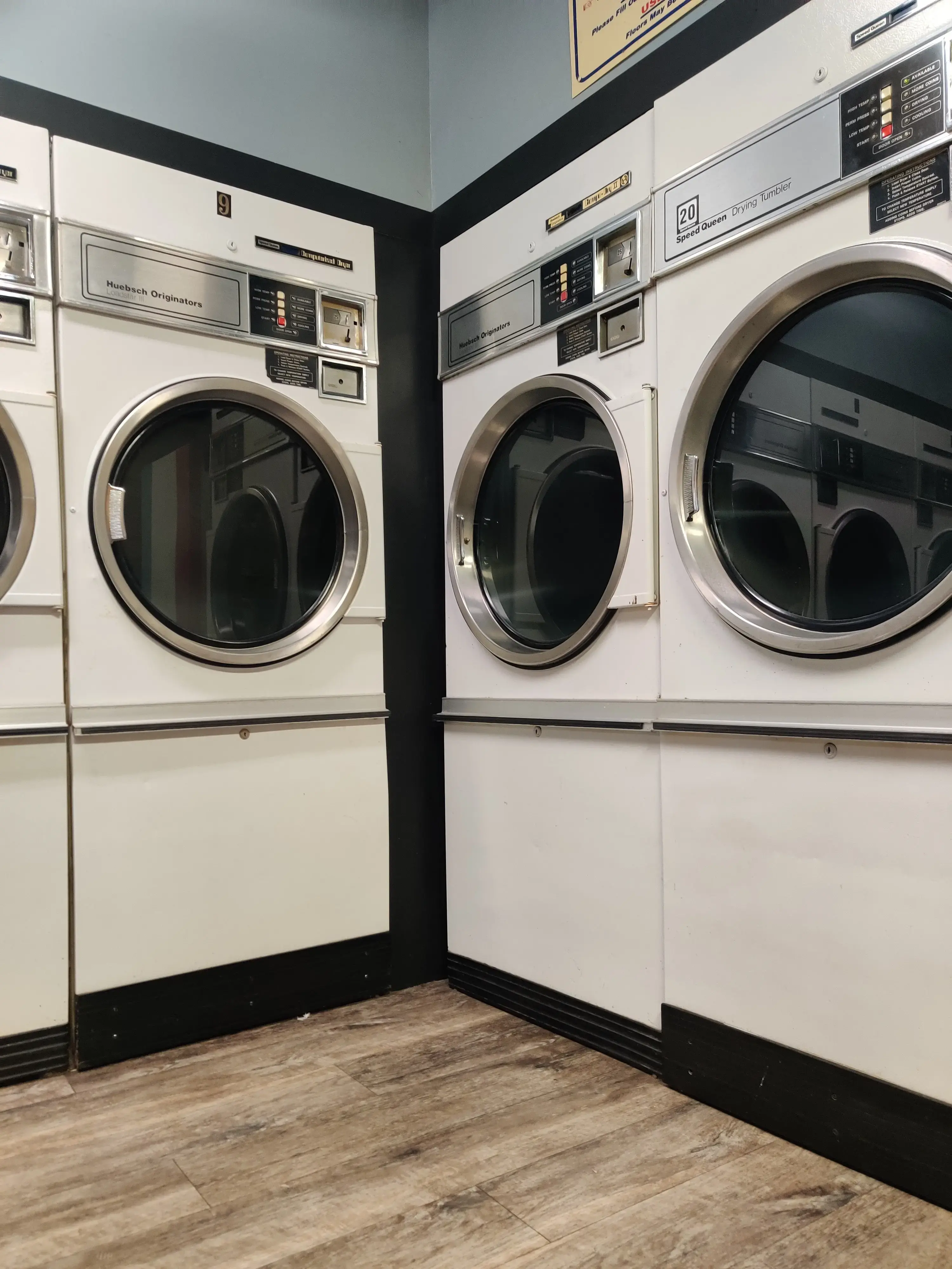 Whale's Wash - Image 2