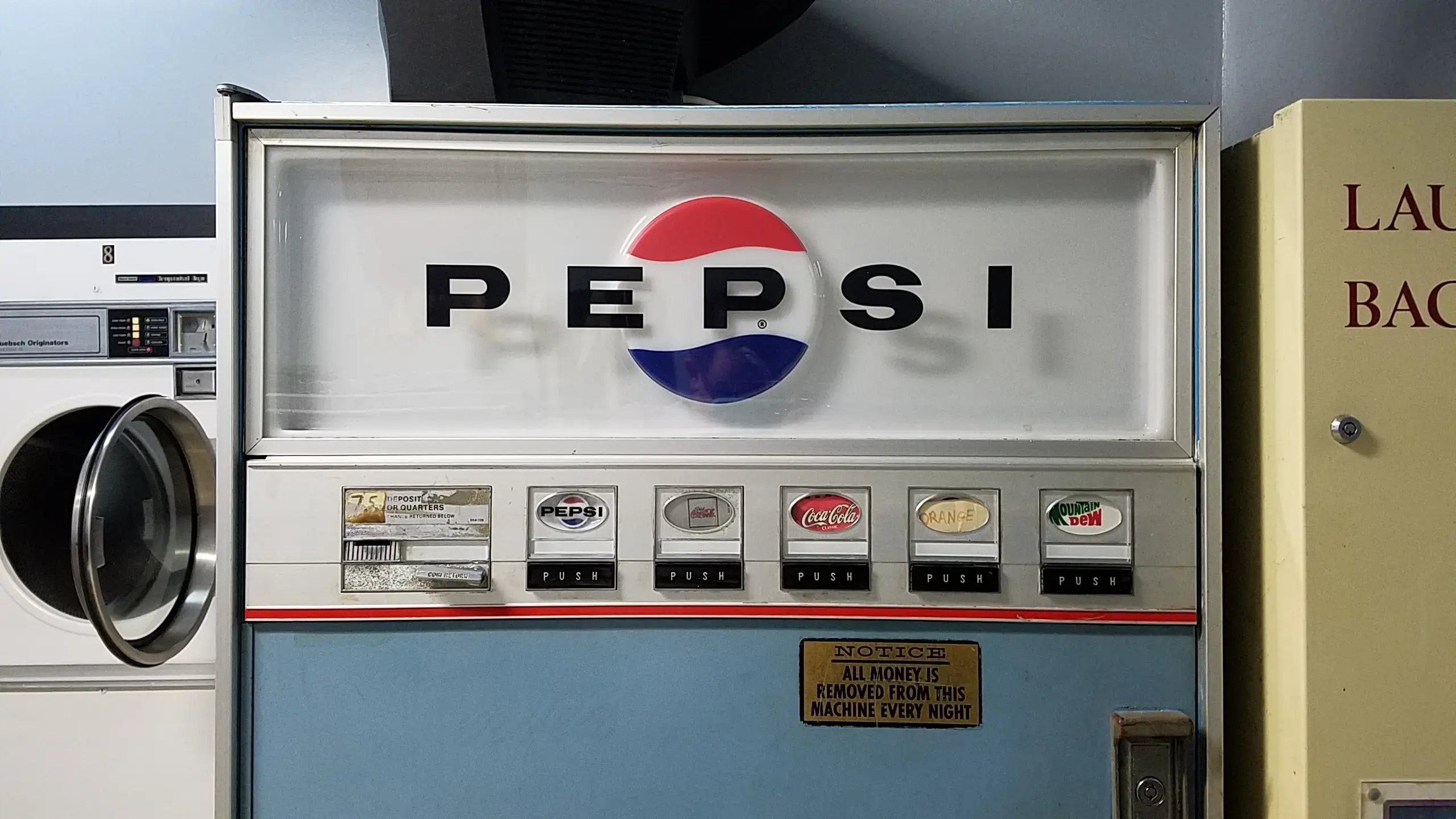 Whale's Wash - Image 14