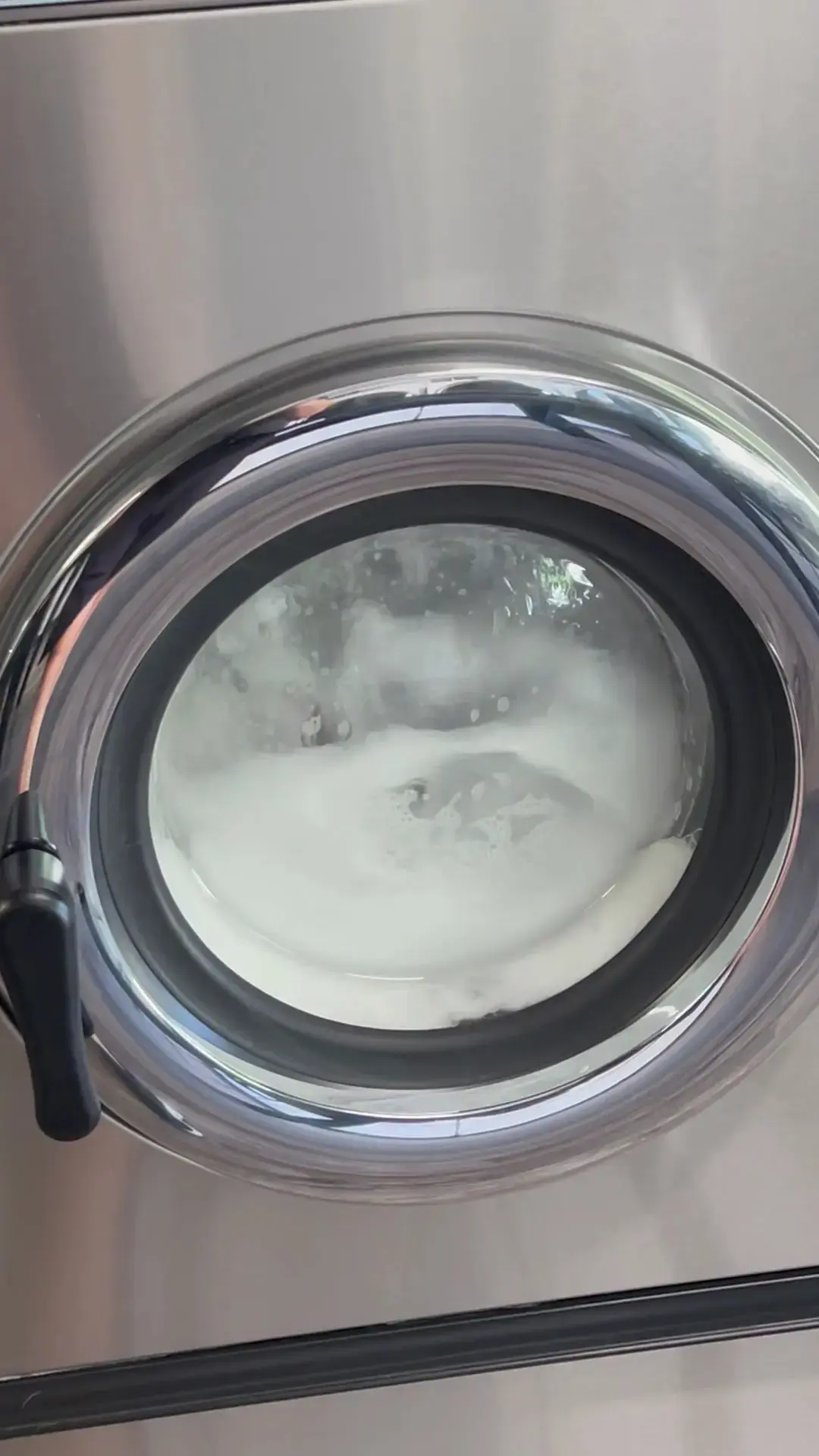 Whale's Wash - Image 6