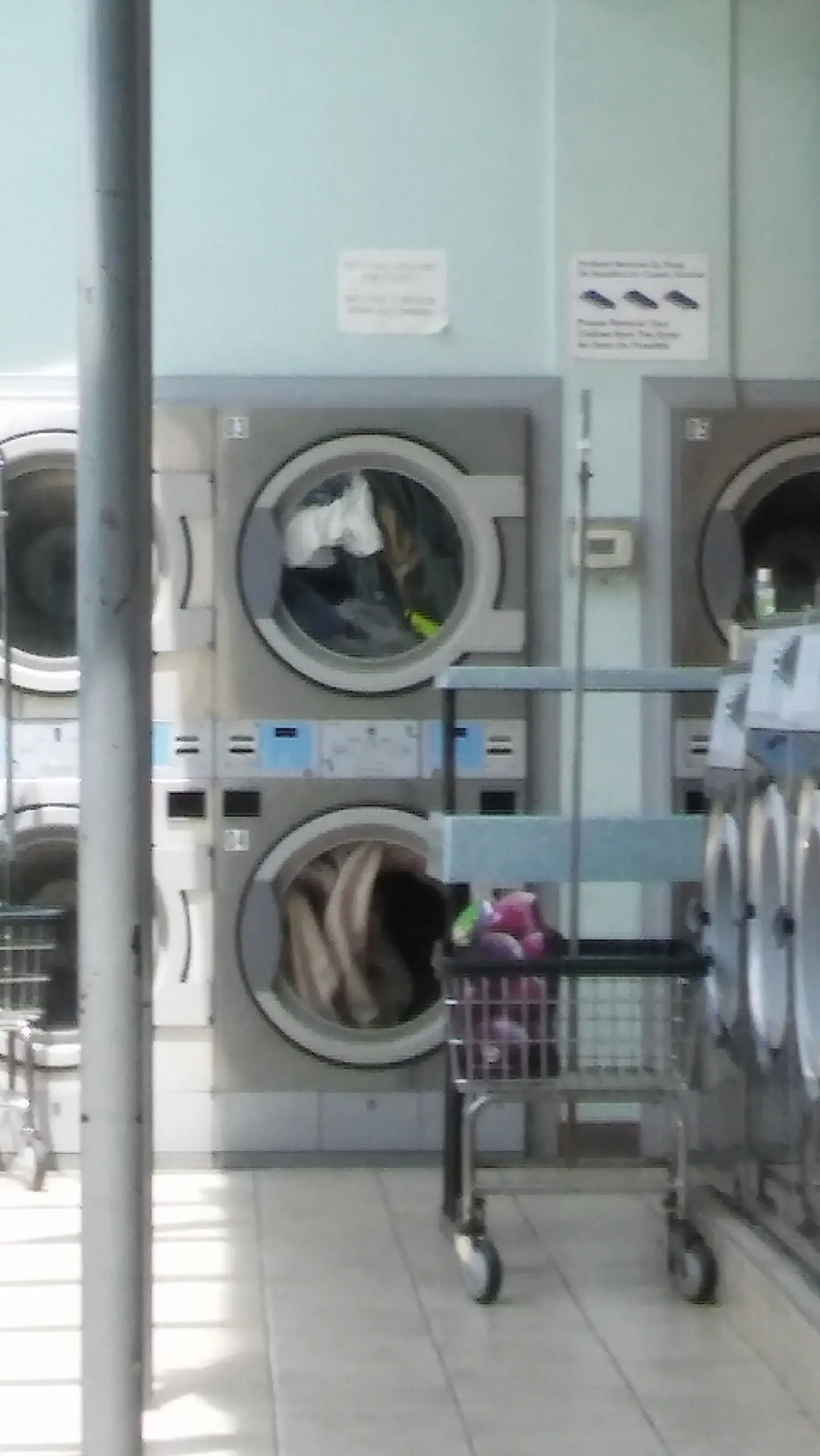 Wheaton Laundromat thumbnail 14