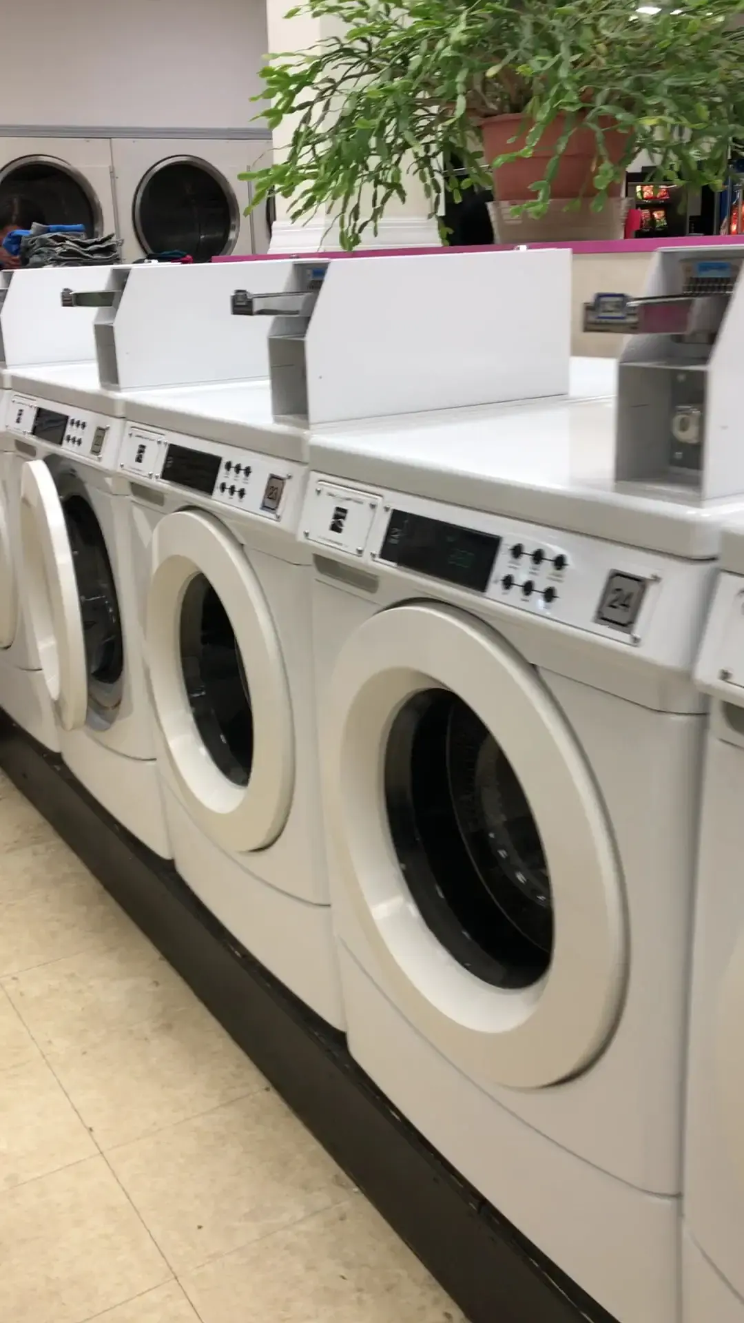 Wheaton Super Wash - Image 20