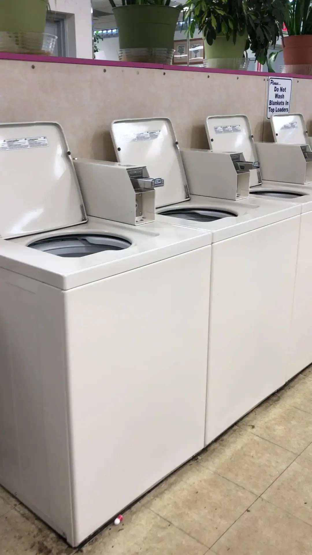 Wheaton Super Wash - Image 14