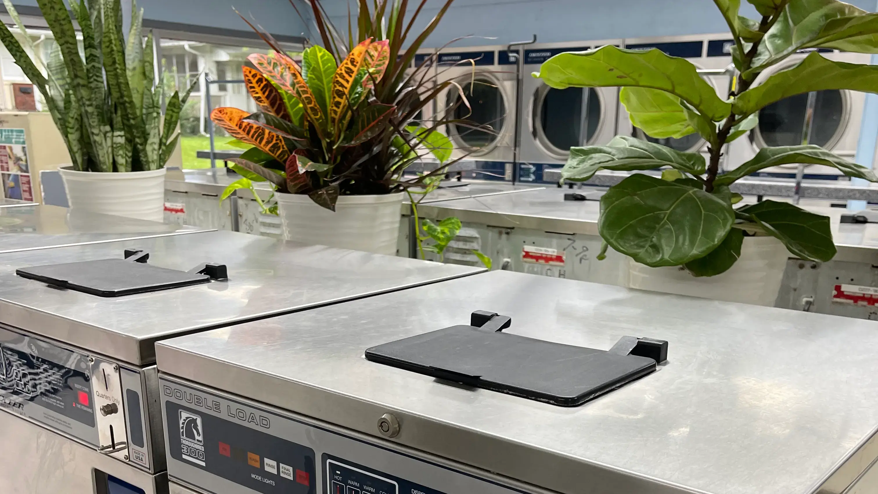White Spot Coin Laundry - Image 6