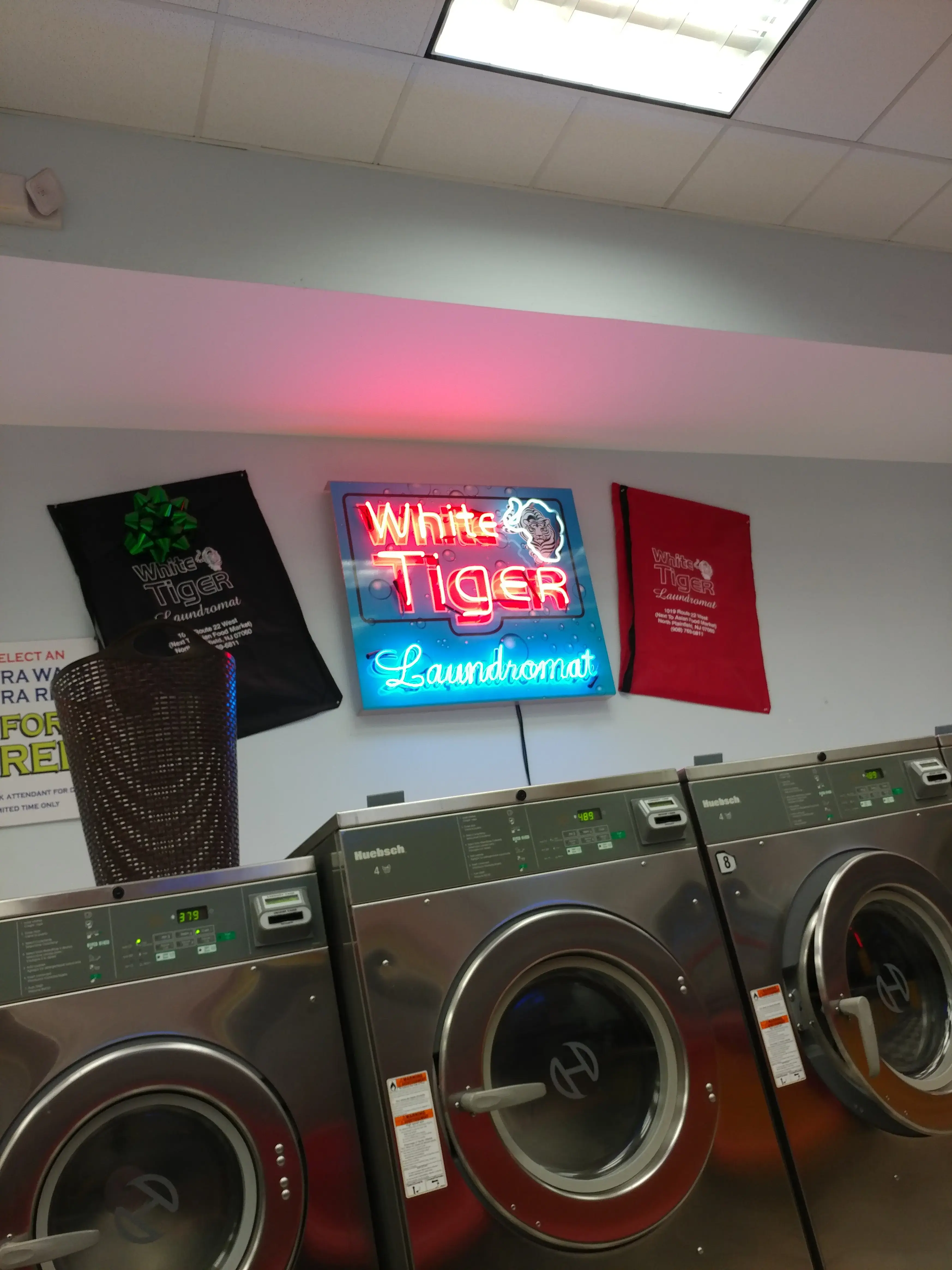 White Tiger Laundromat - Image 15