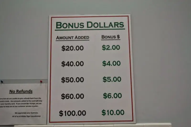 White Tiger Laundromat - Image 9