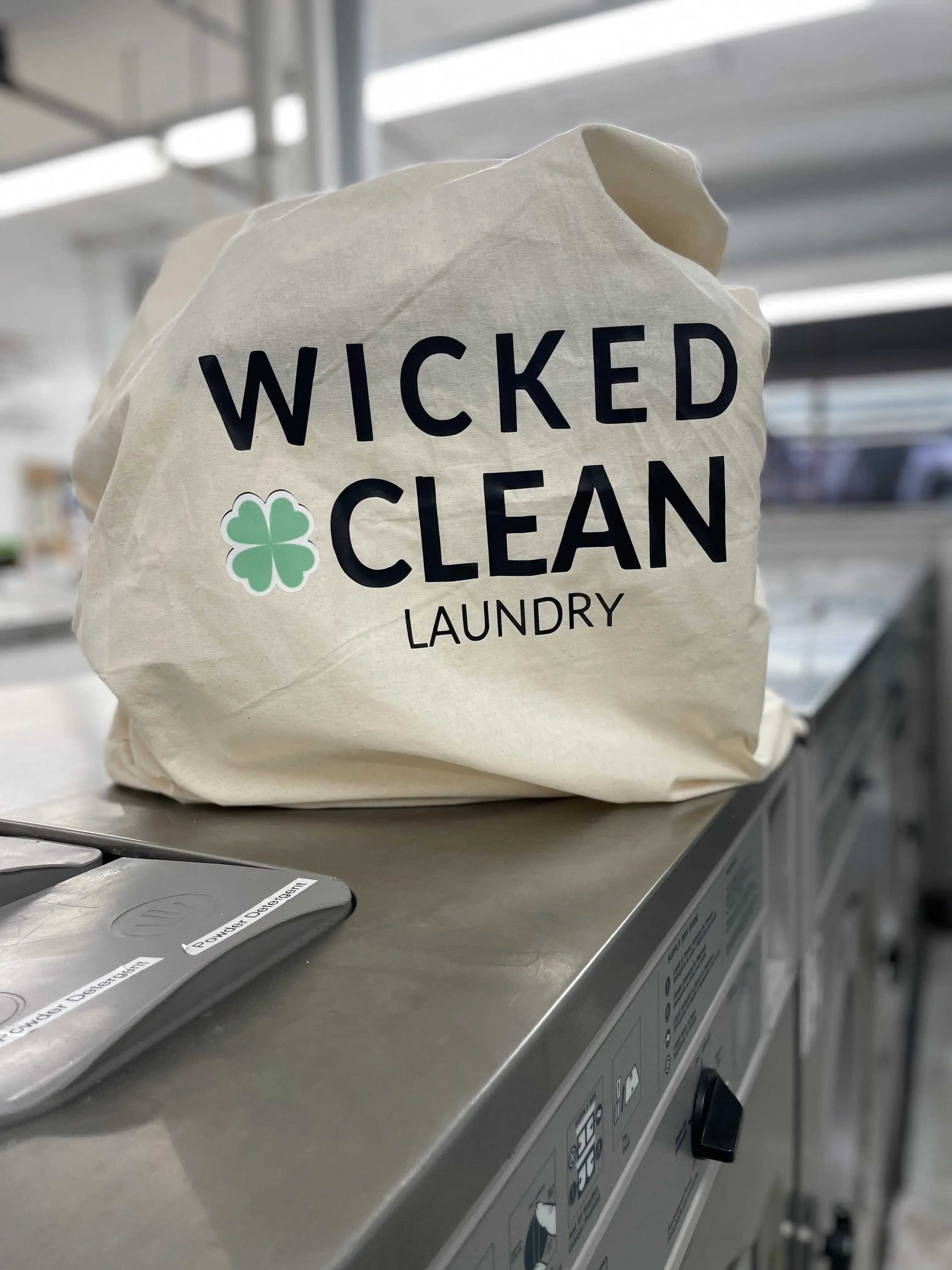 Wicked Clean Laundry - Image 14