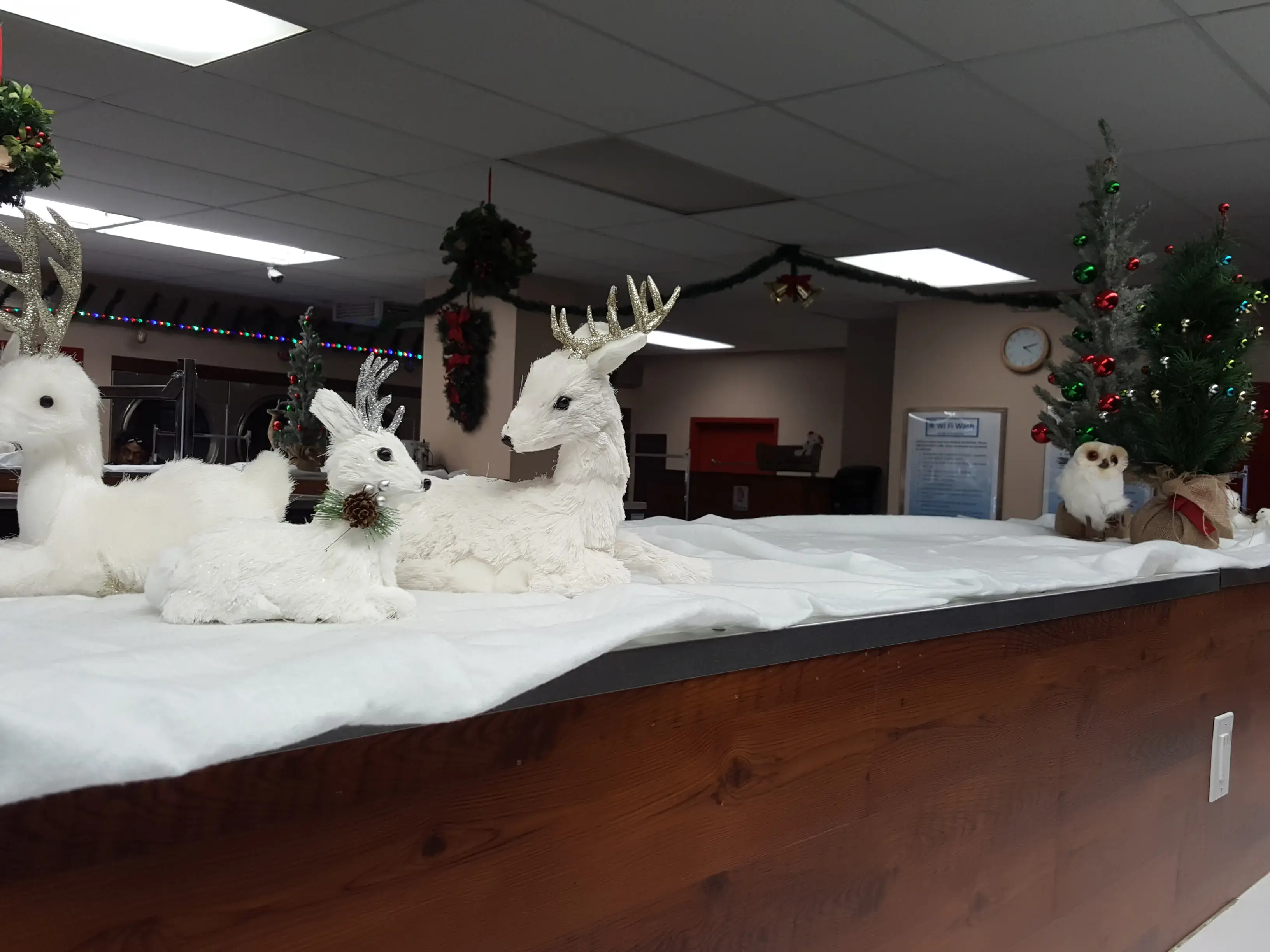 WiFi Wash - Image 12