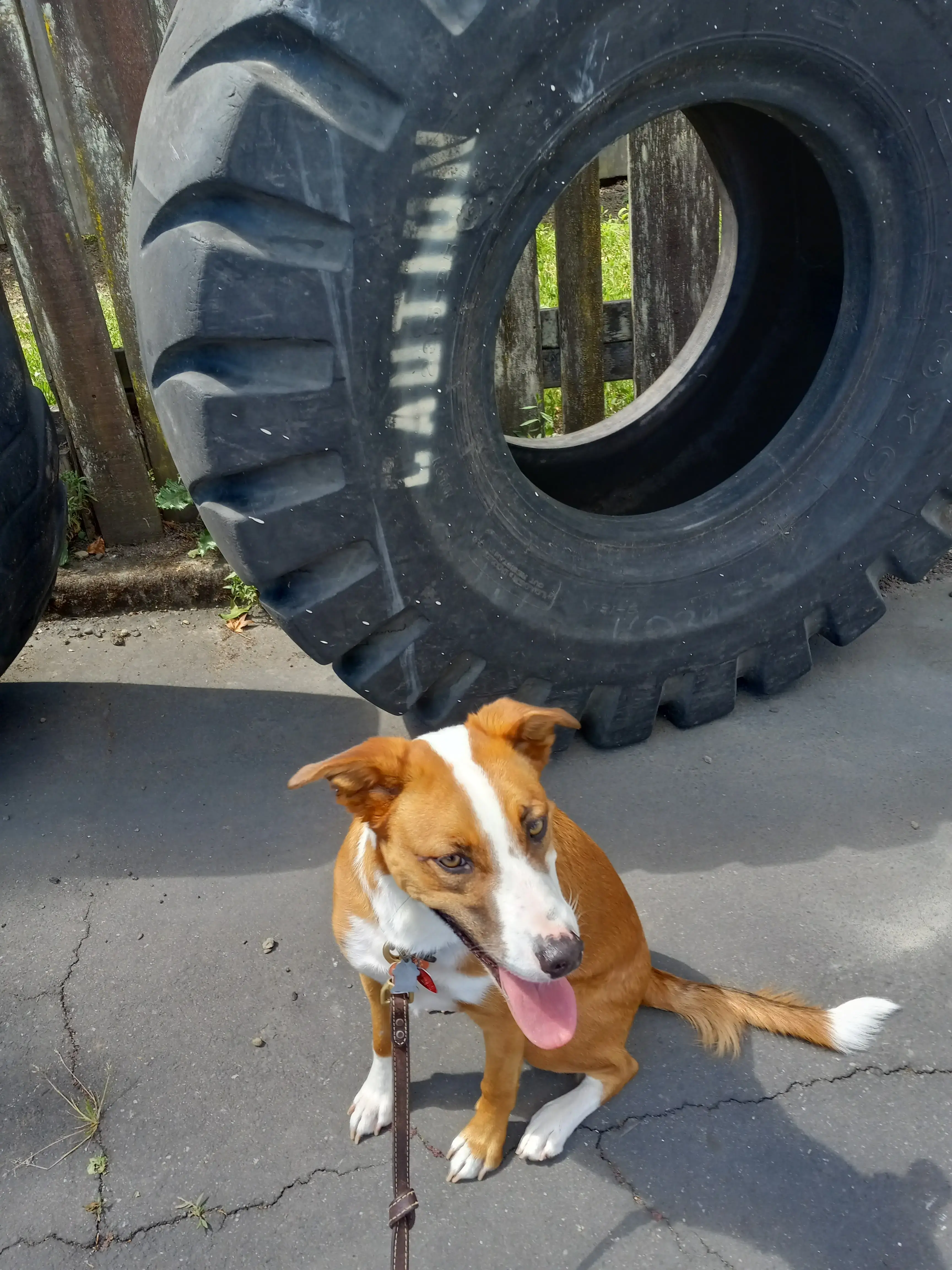 WiFi Wash thumbnail 10