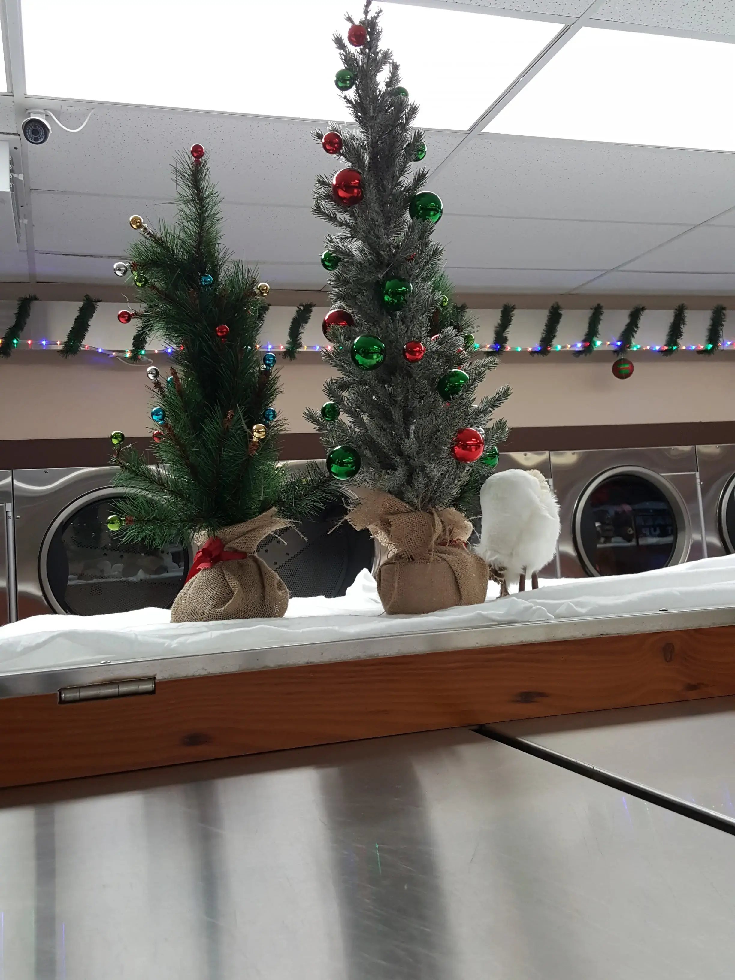 WiFi Wash - Image 11