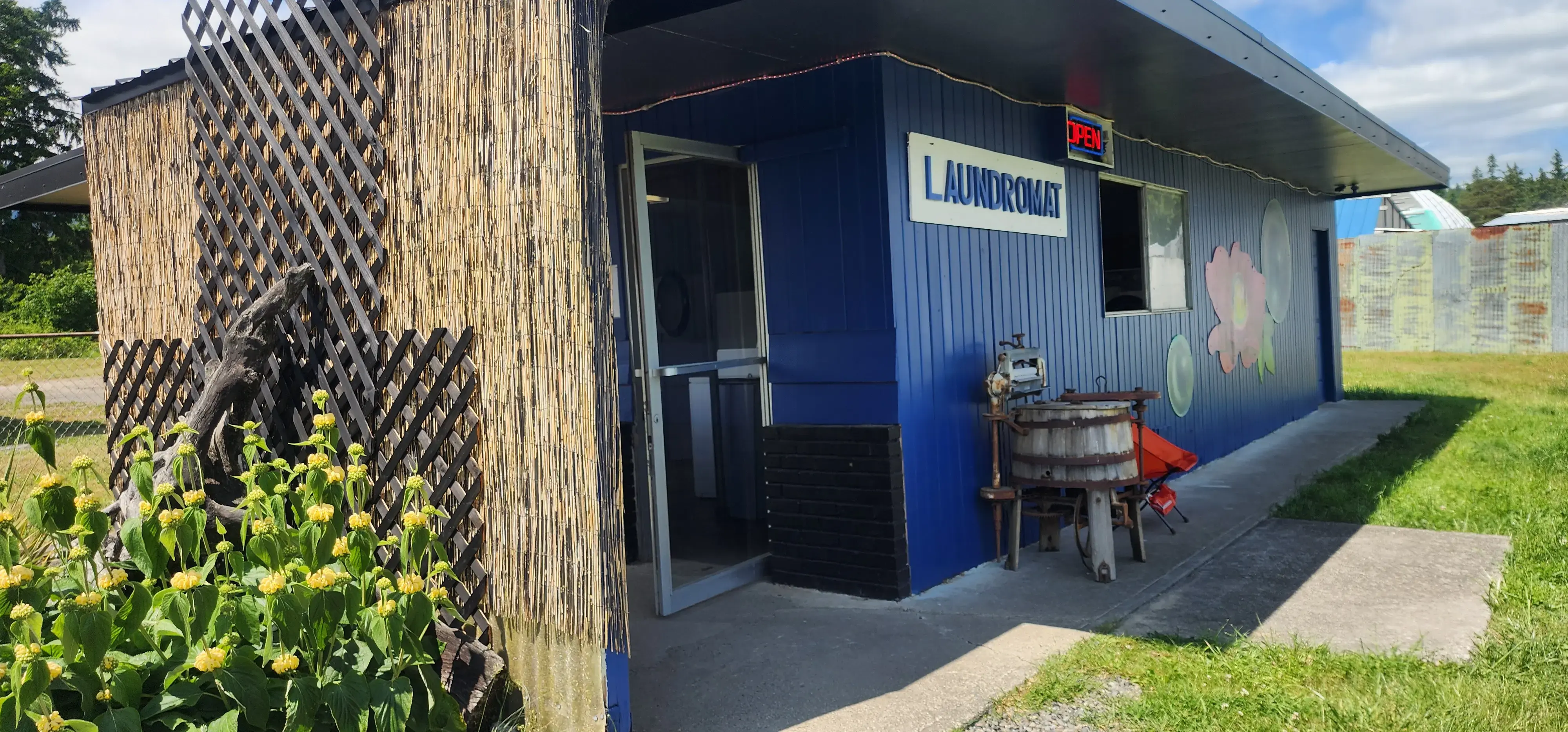 Wild Rose Laundromat thumbnail 7