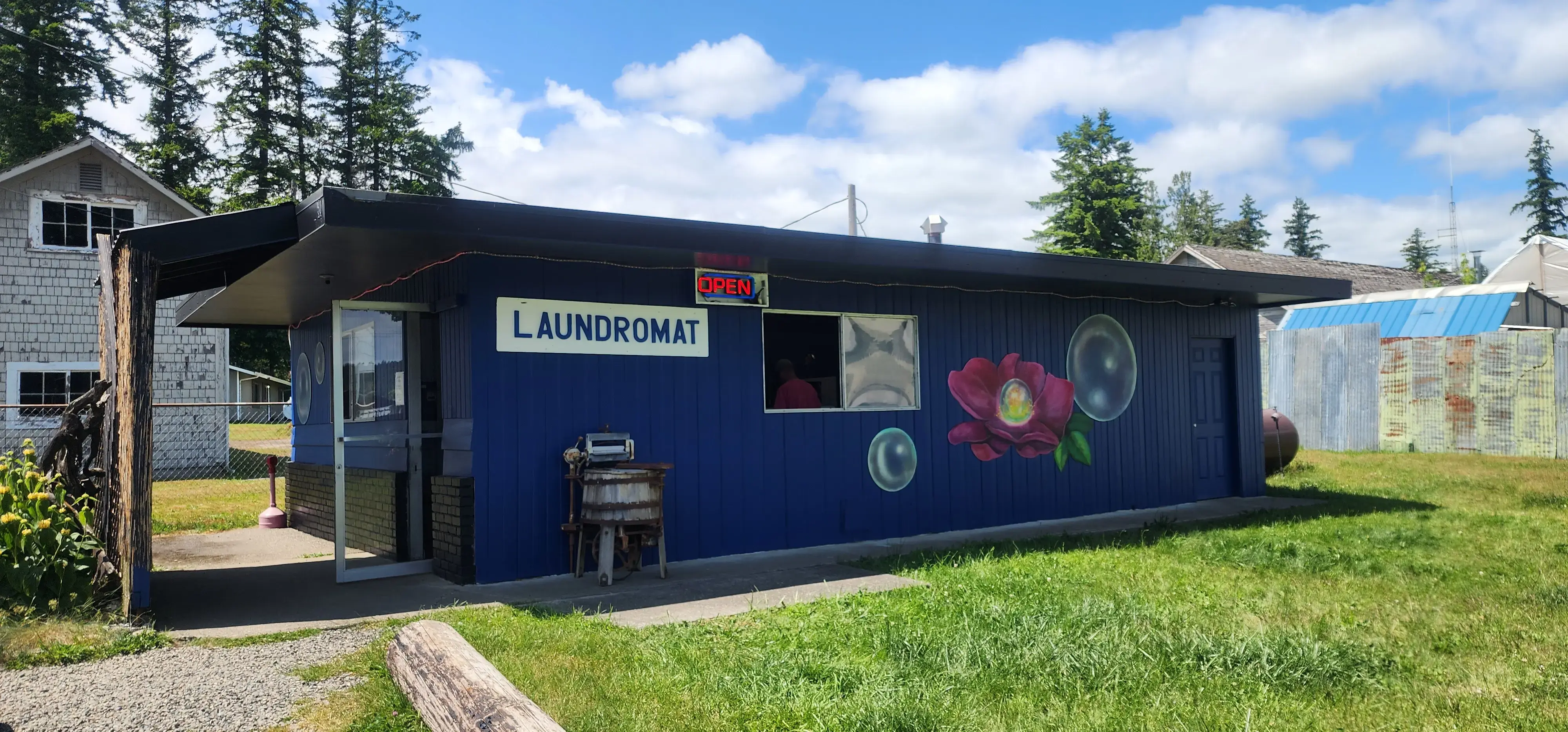 Wild Rose Laundromat thumbnail 3
