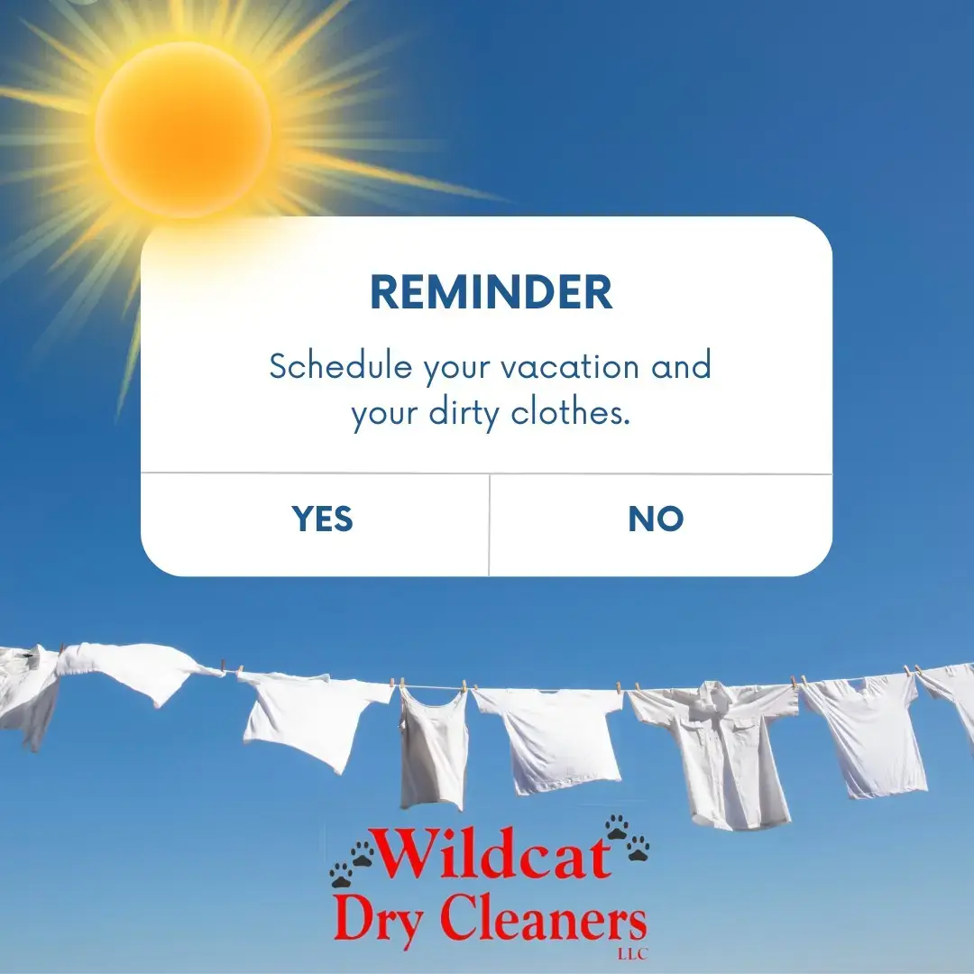 Wildcat Dry Cleaners thumbnail 4