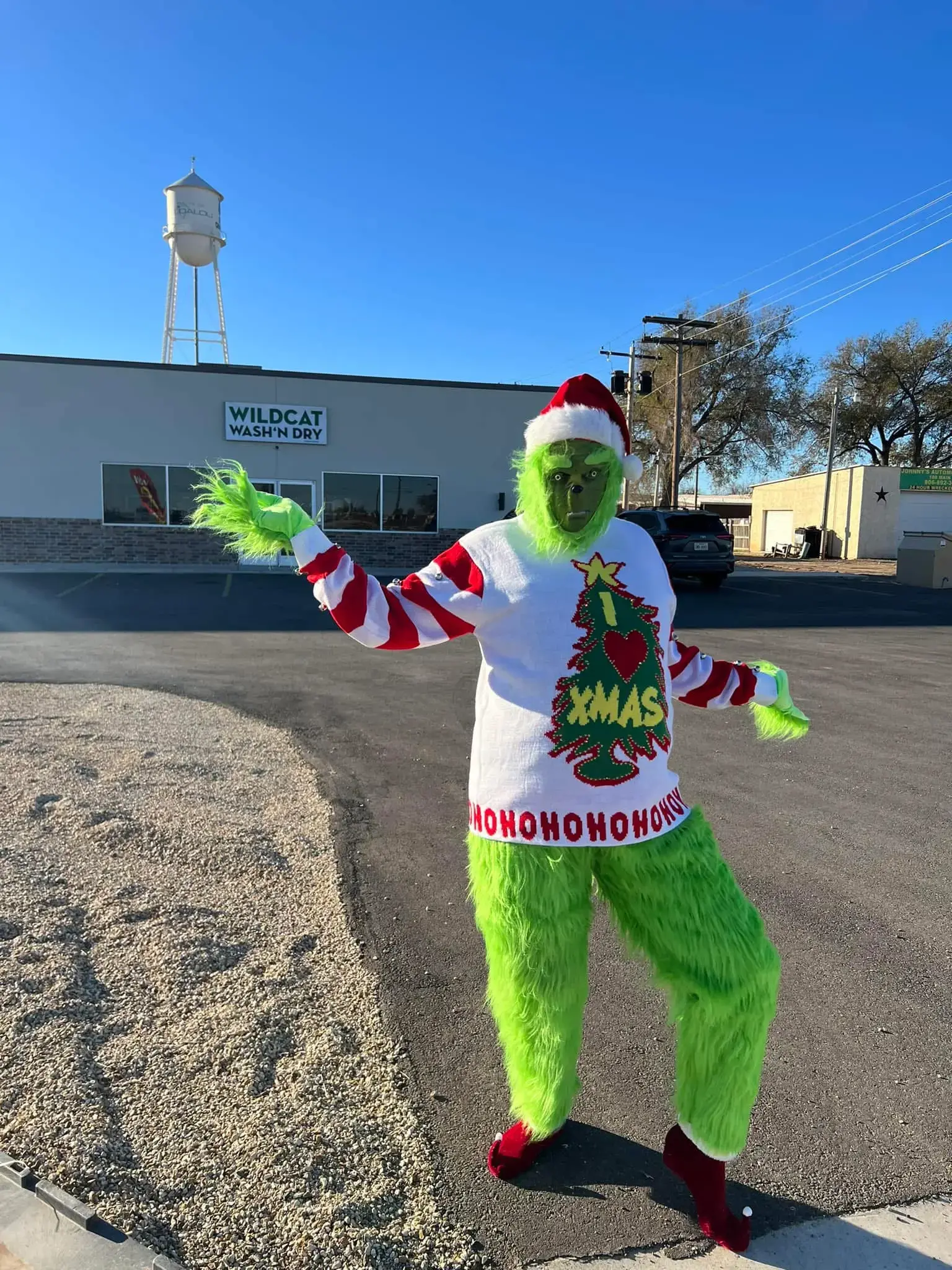 Wildcat Wash N Dry thumbnail 3