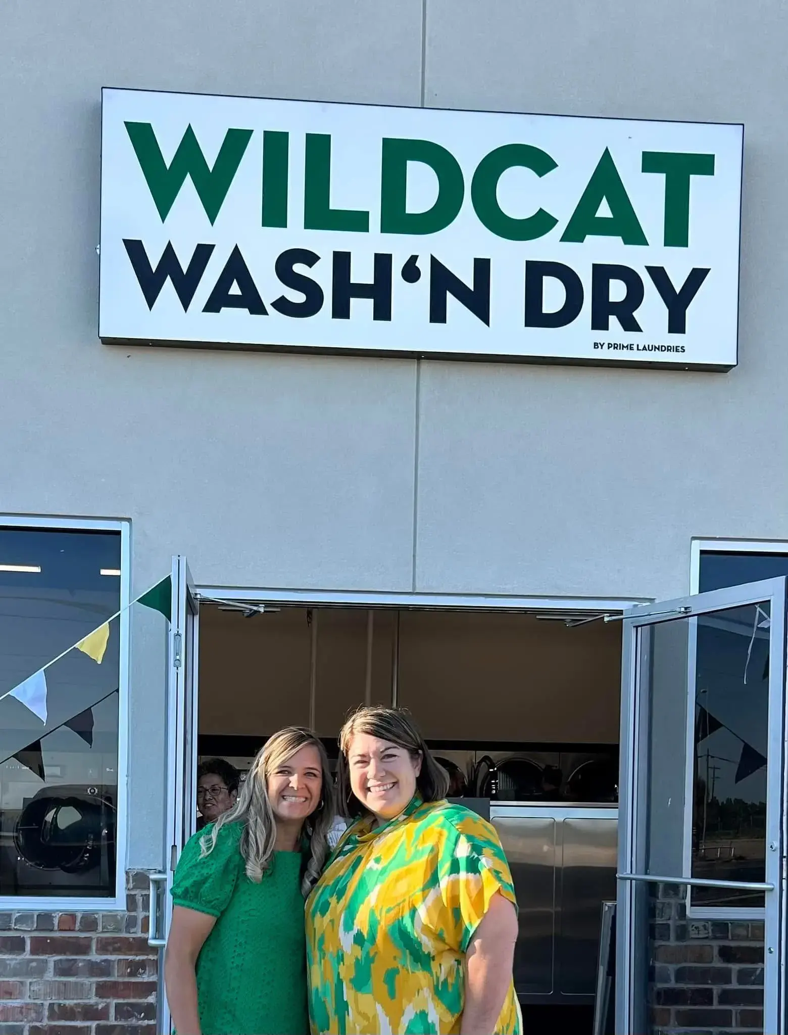 Wildcat Wash N Dry thumbnail 8