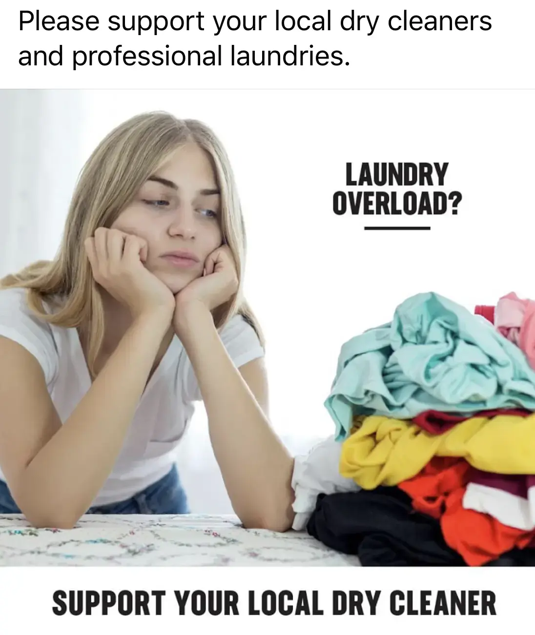 Winn Dry Cleaners thumbnail 8