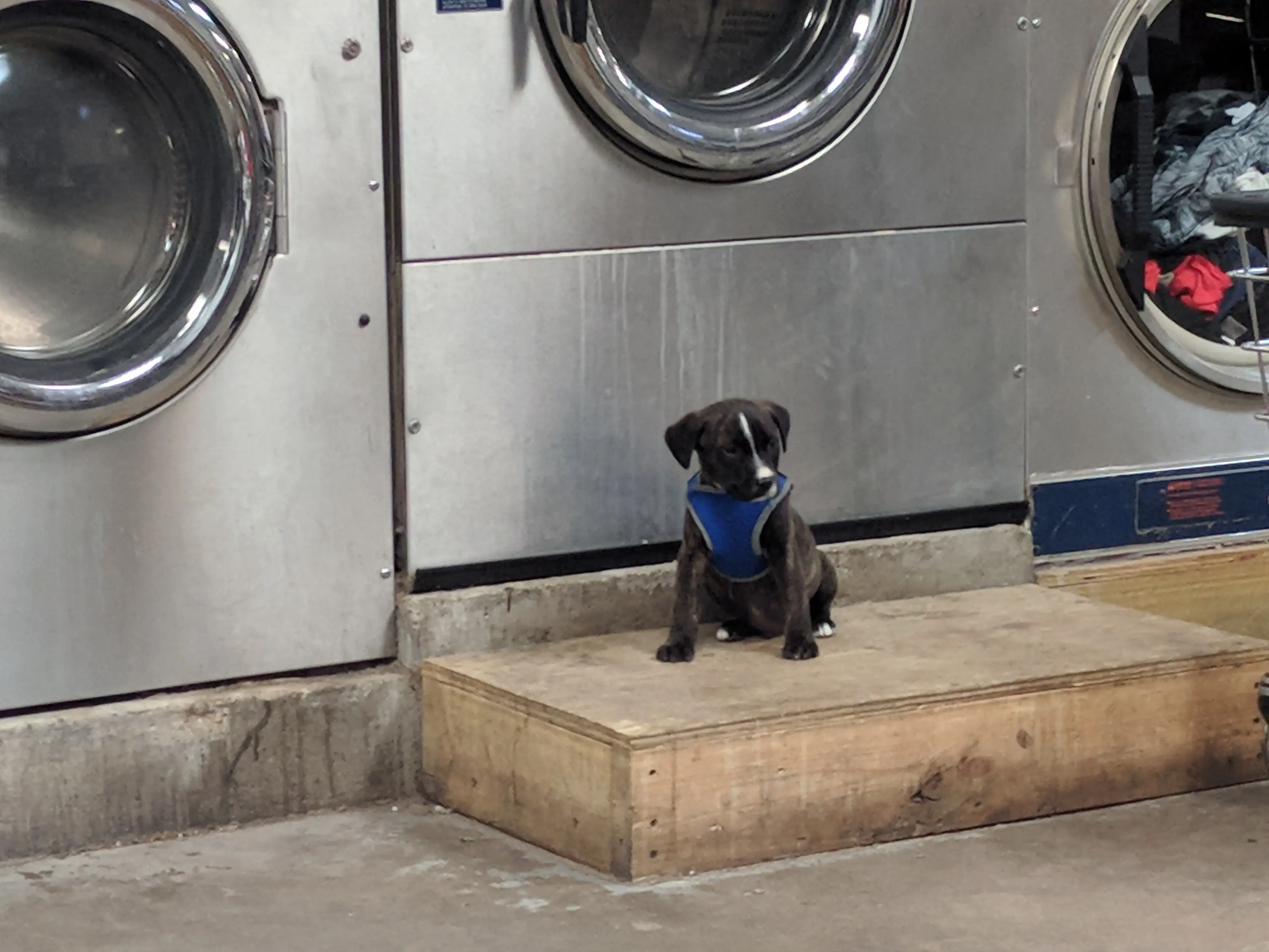 Winnsboro Budget Storage & Spinzone Laundry thumbnail 6