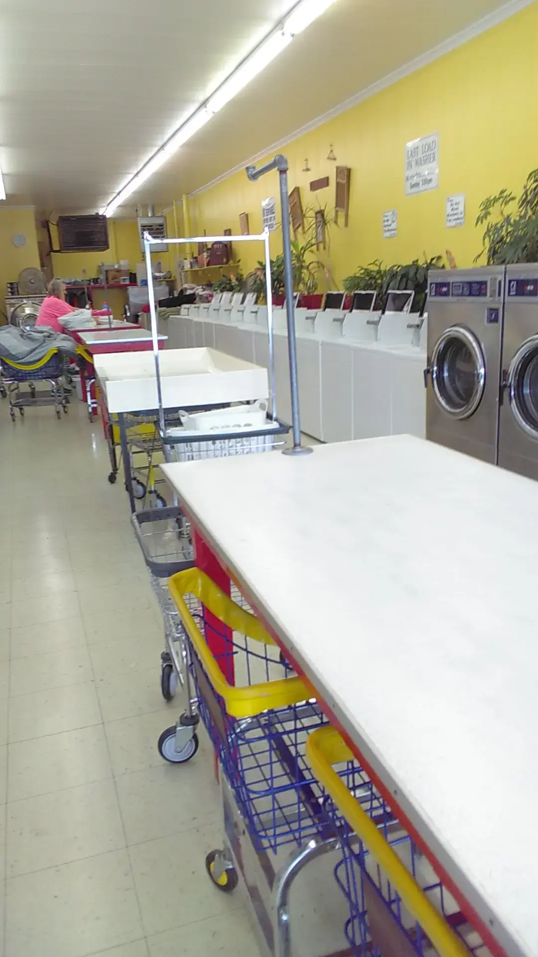 Wishy Washy - Image 3