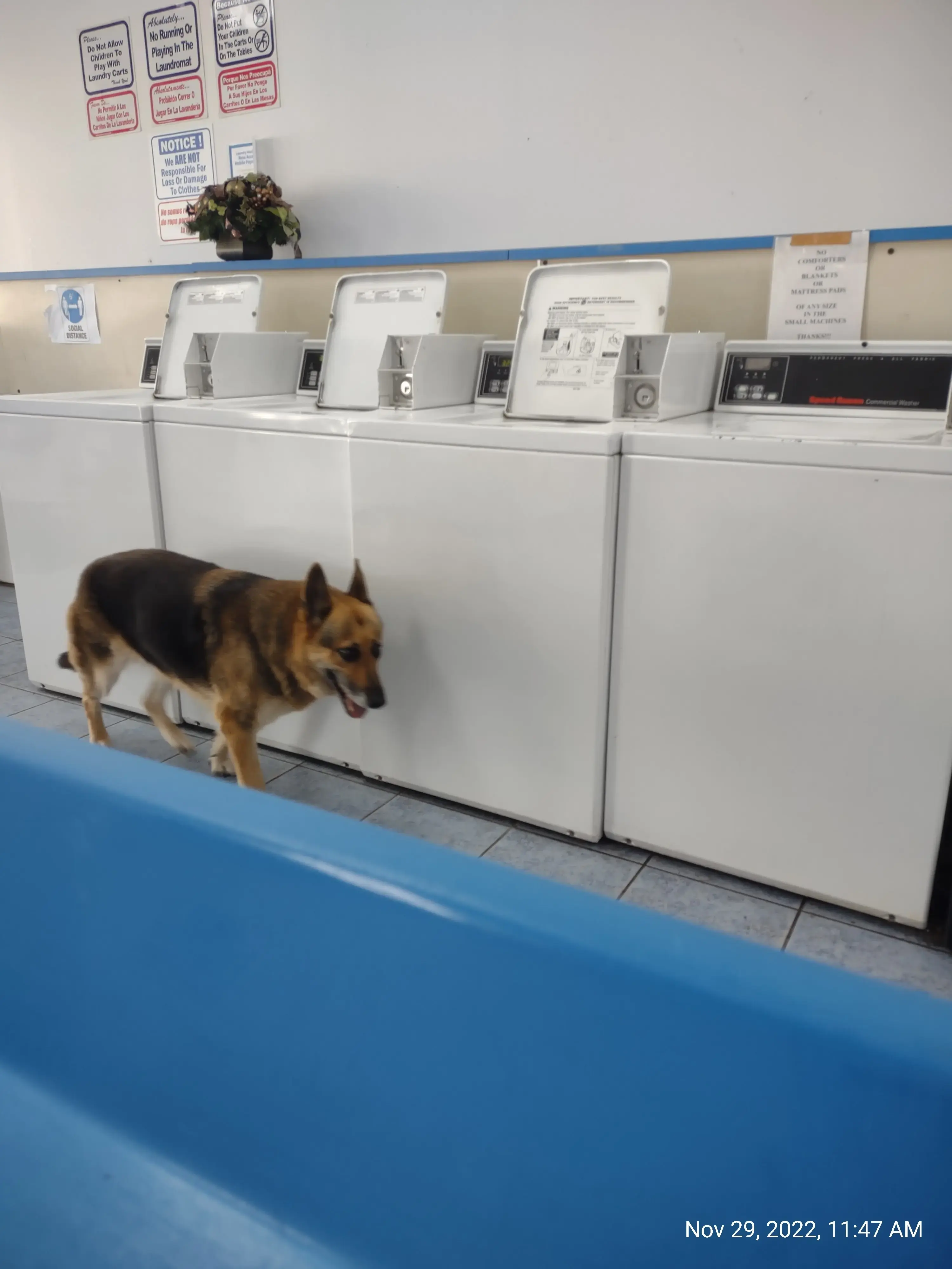 Withlacoochee Laundry Systems, LLC thumbnail 13