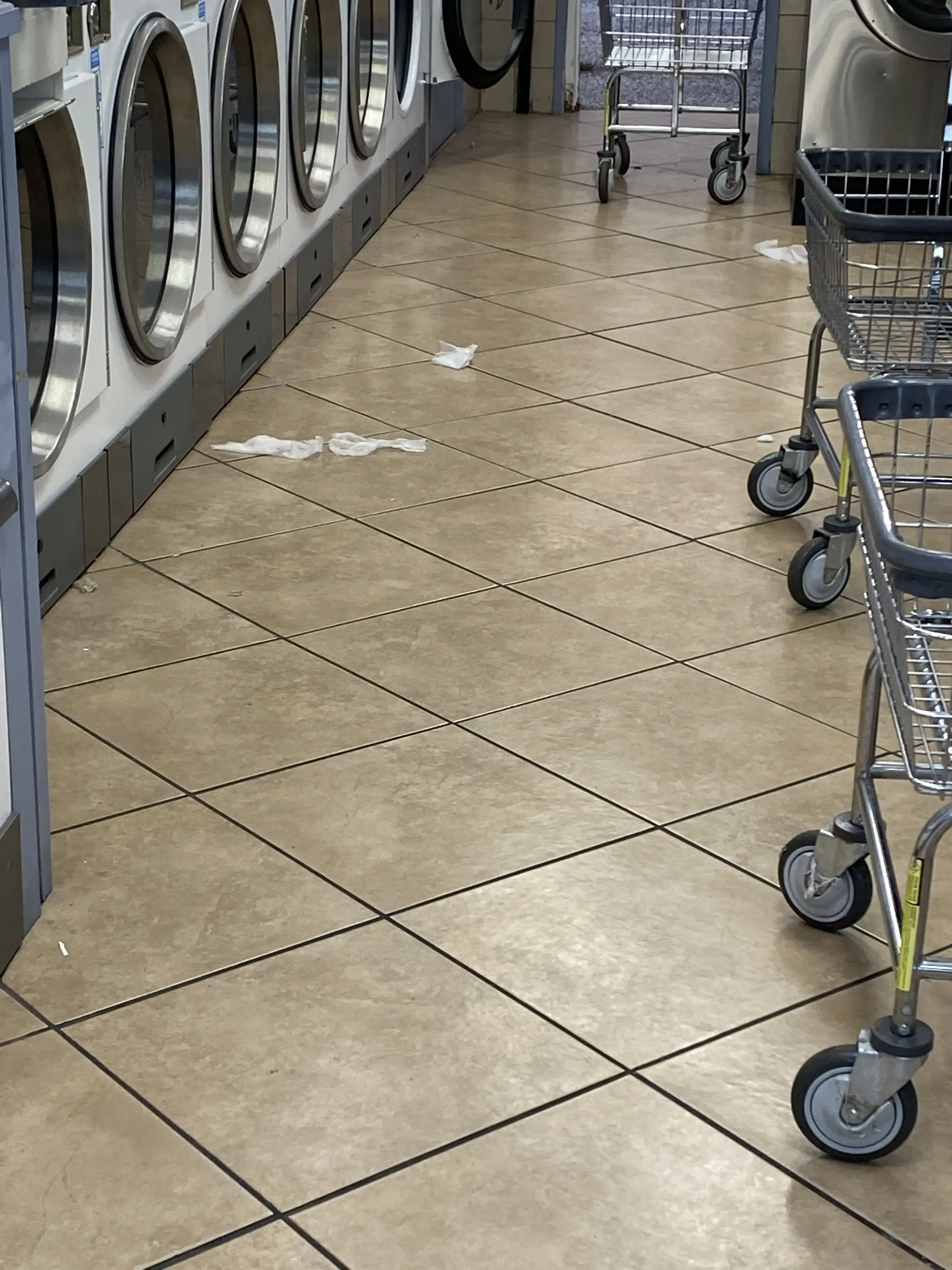 WITHLACOOCHEE Laundry Systems, LLC thumbnail 3