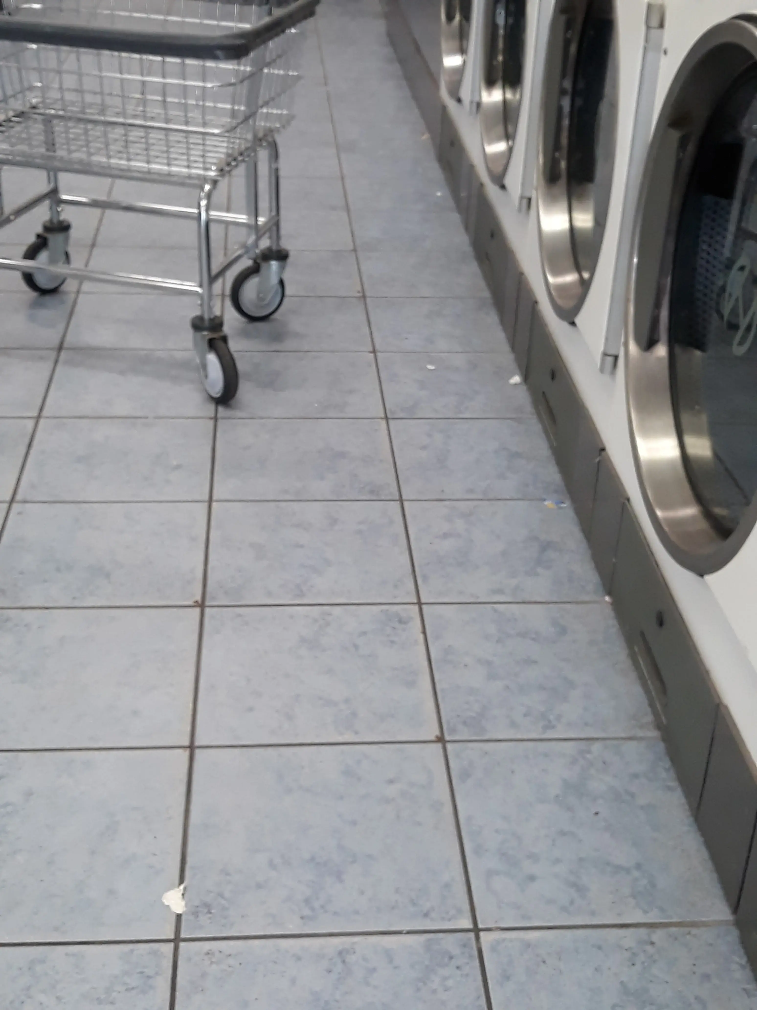 Withlacoochee Laundry Systems, LLC thumbnail 4