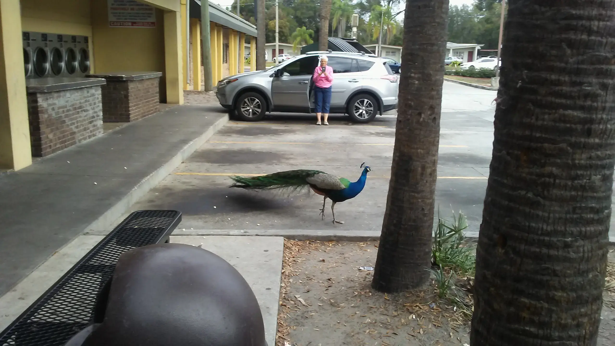 World o' Suds Coin Laundry - Image 5