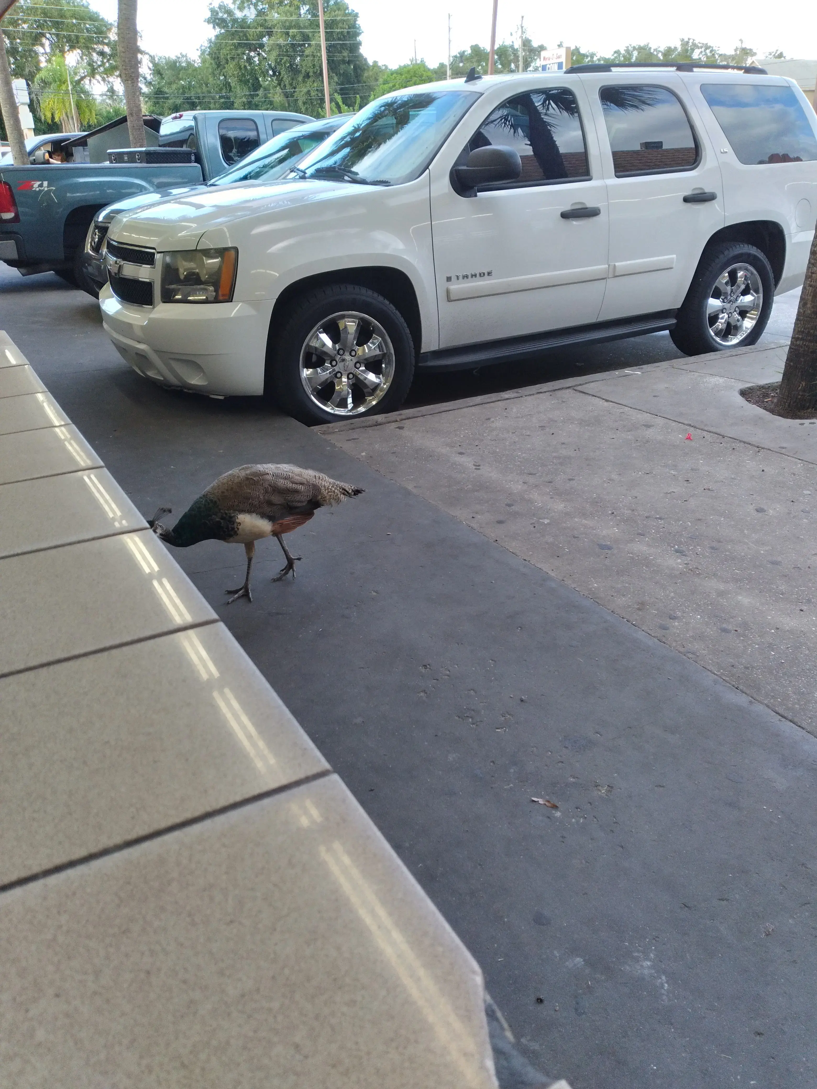 World o' Suds Coin Laundry thumbnail 8