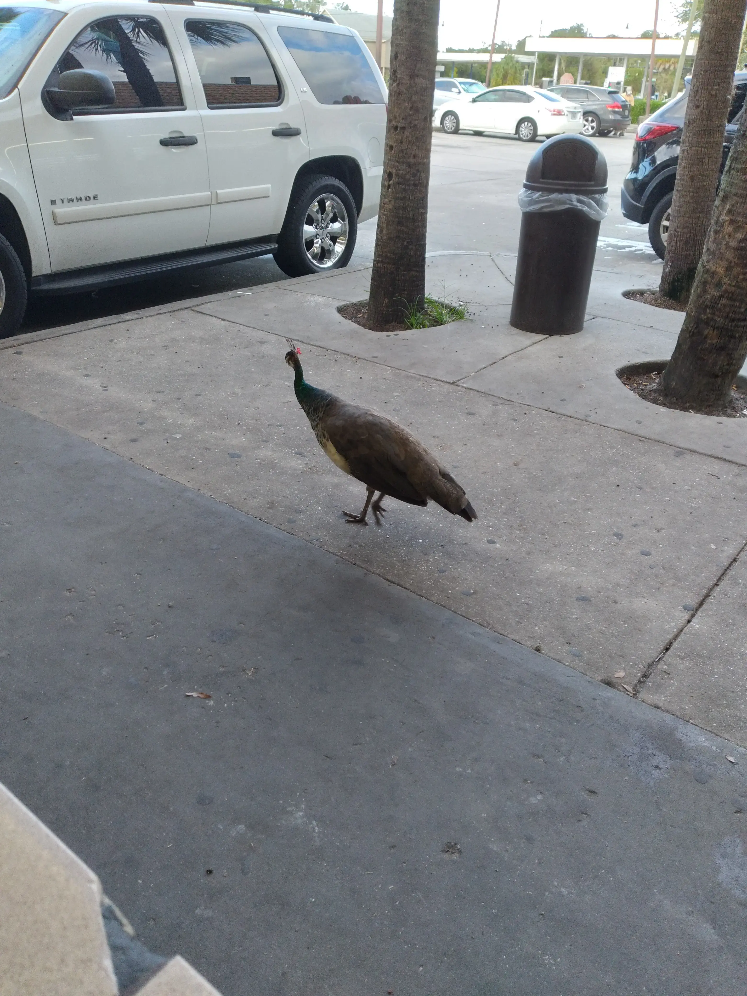 World o' Suds Coin Laundry thumbnail 11