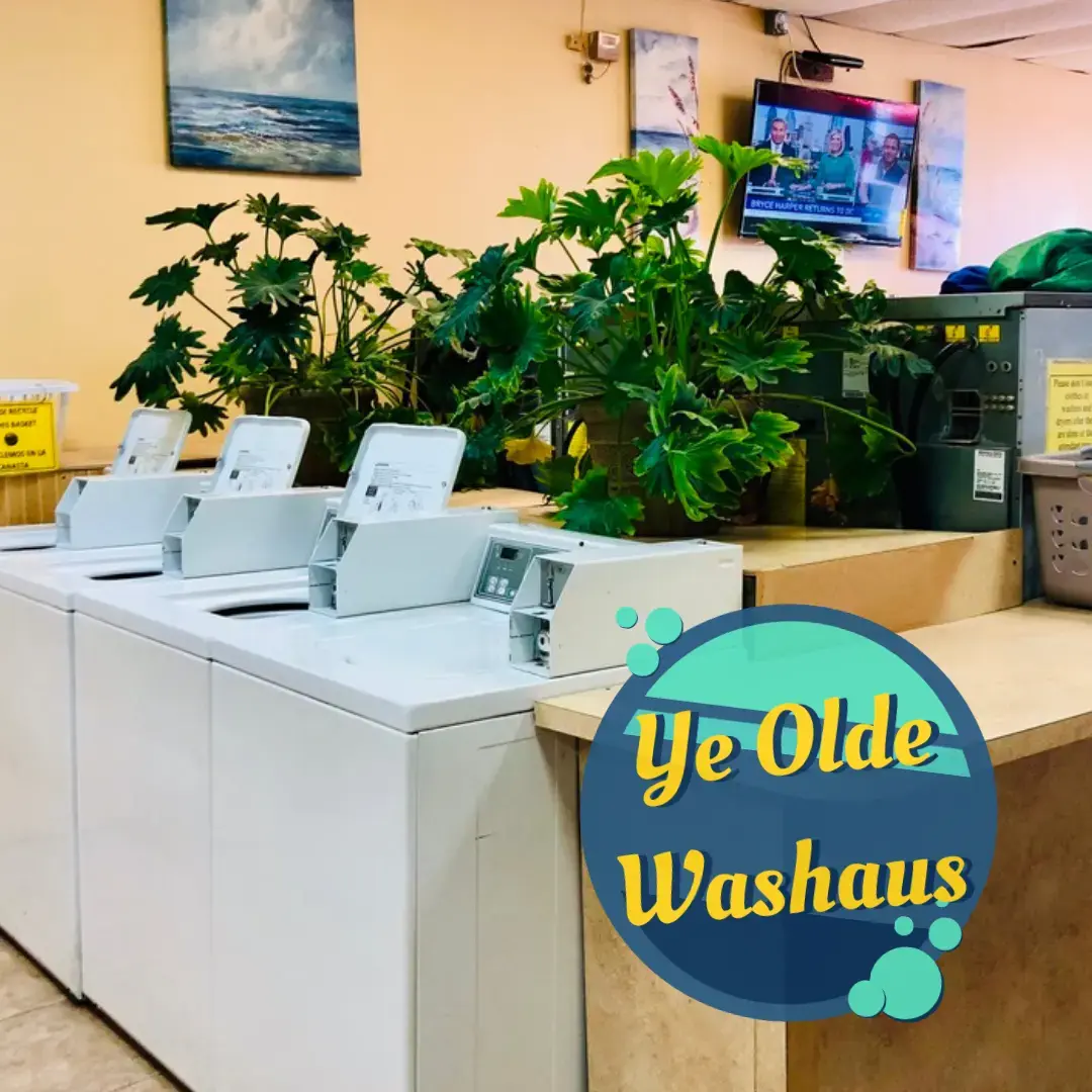 Ye Olde Washaus II thumbnail 9