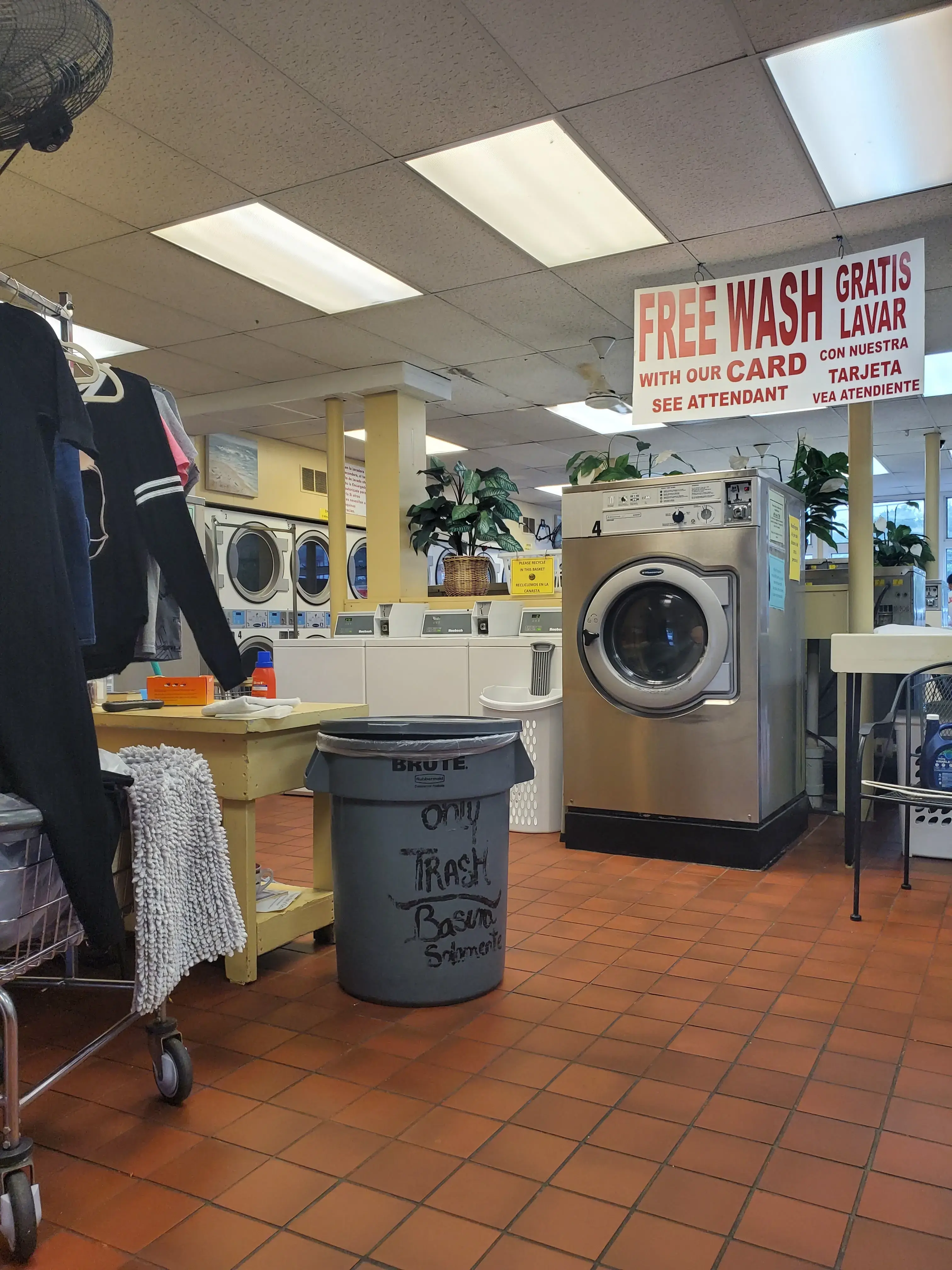 Ye Olde Washaus III - Image 13