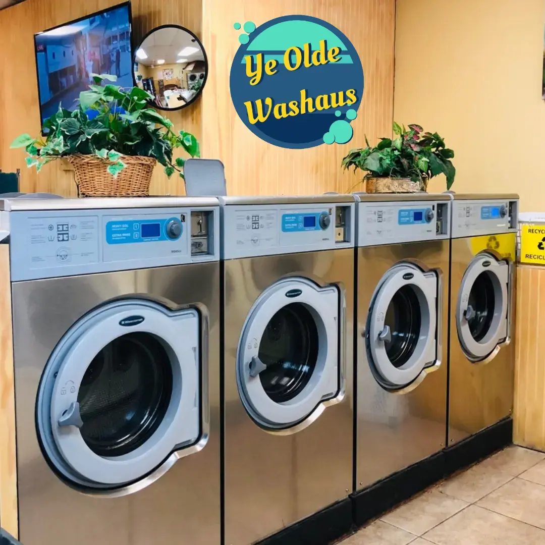 Ye Olde Washaus III - Image 2