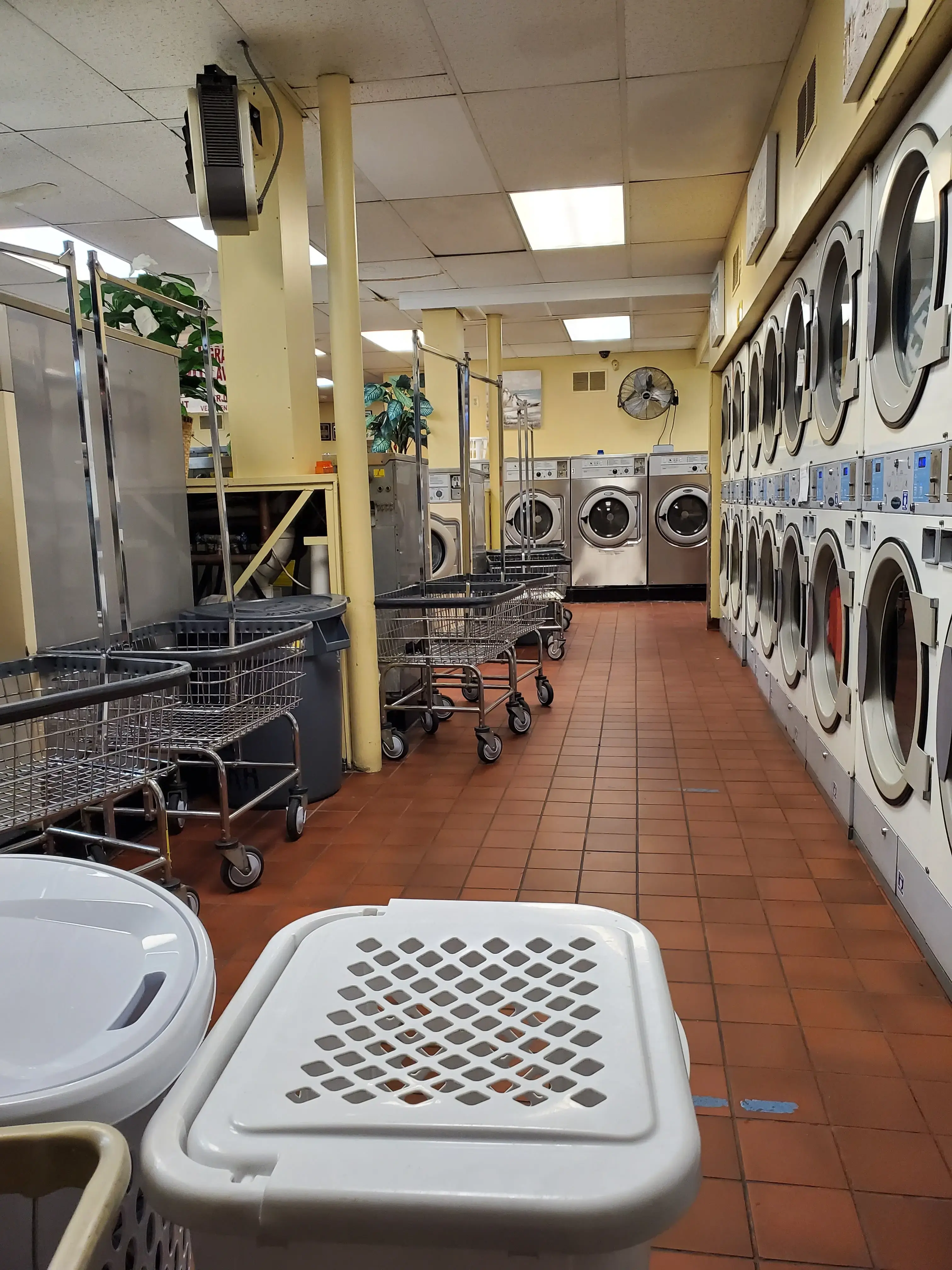 Ye Olde Washaus III - Image 9
