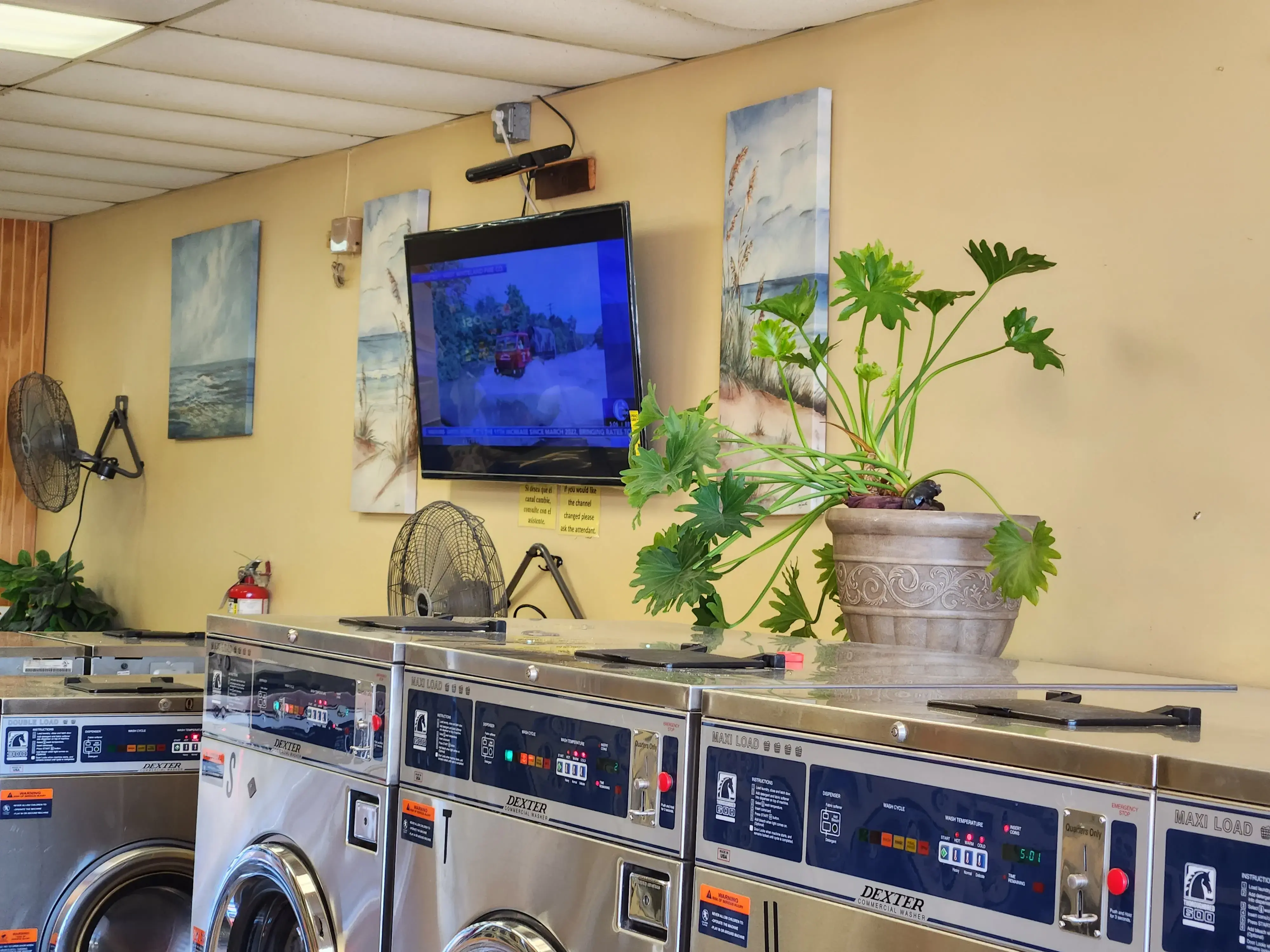 Ye Olde Washaus - Image 17