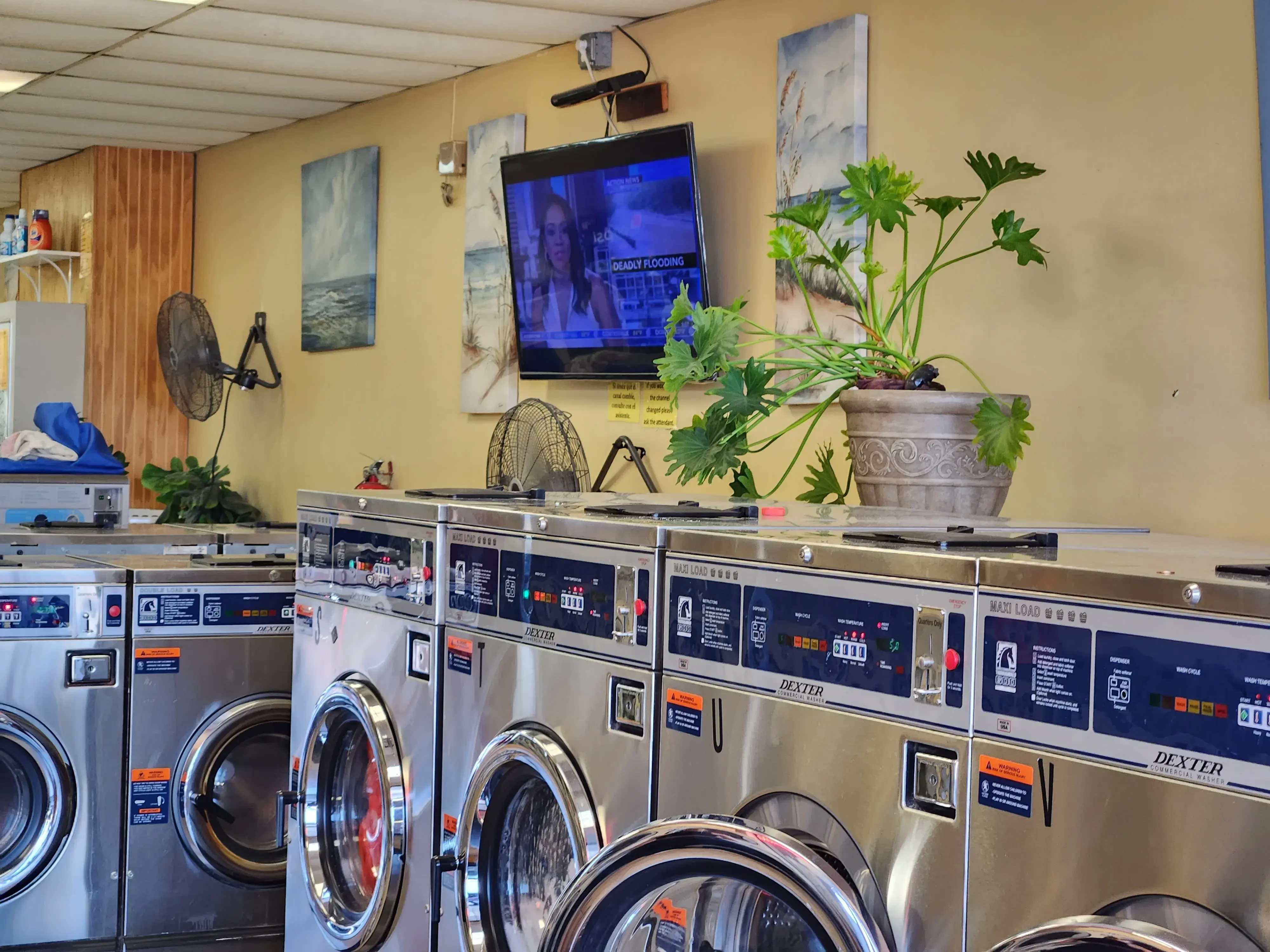 Ye Olde Washaus thumbnail 18