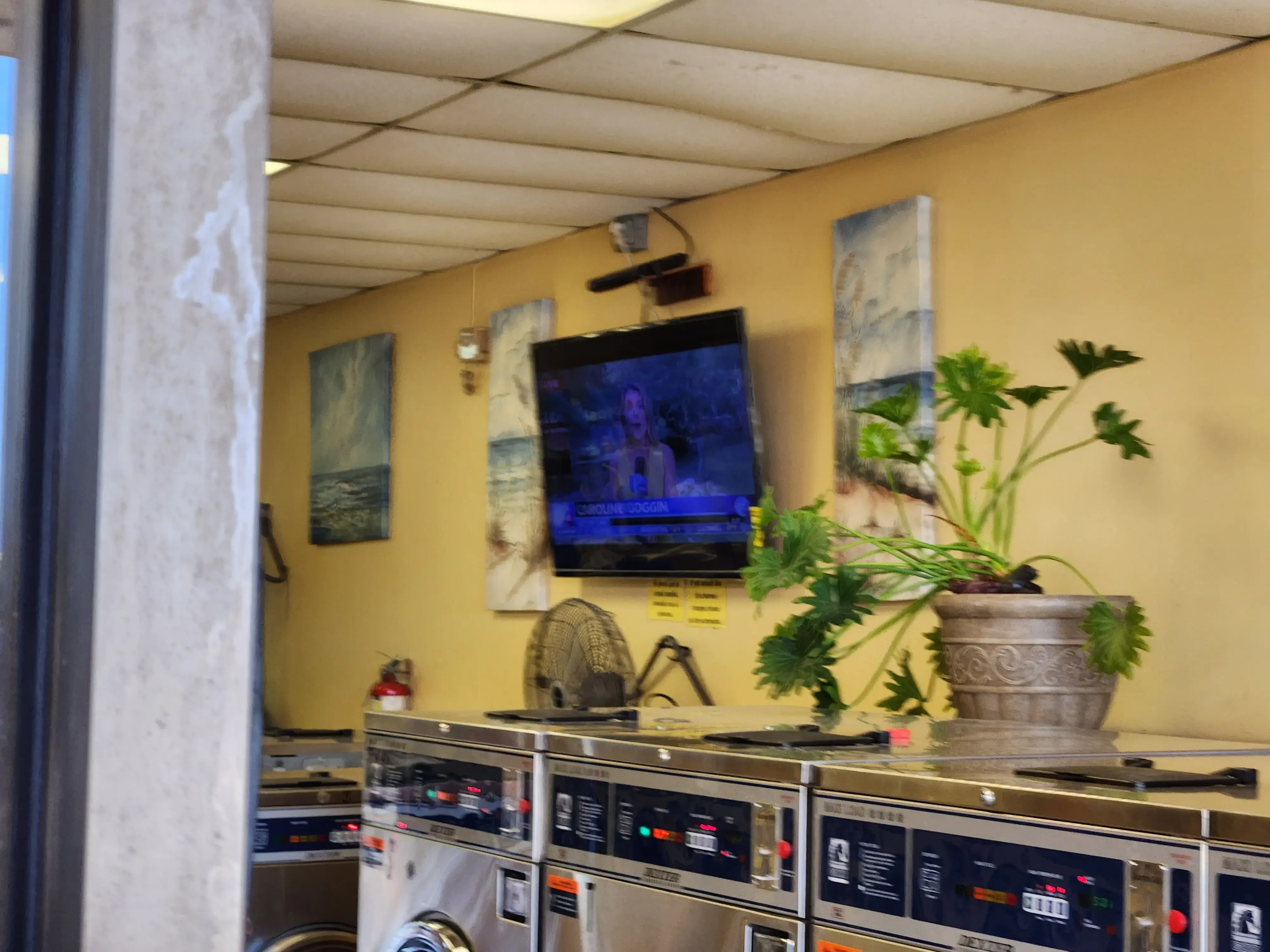 Ye Olde Washaus thumbnail 9