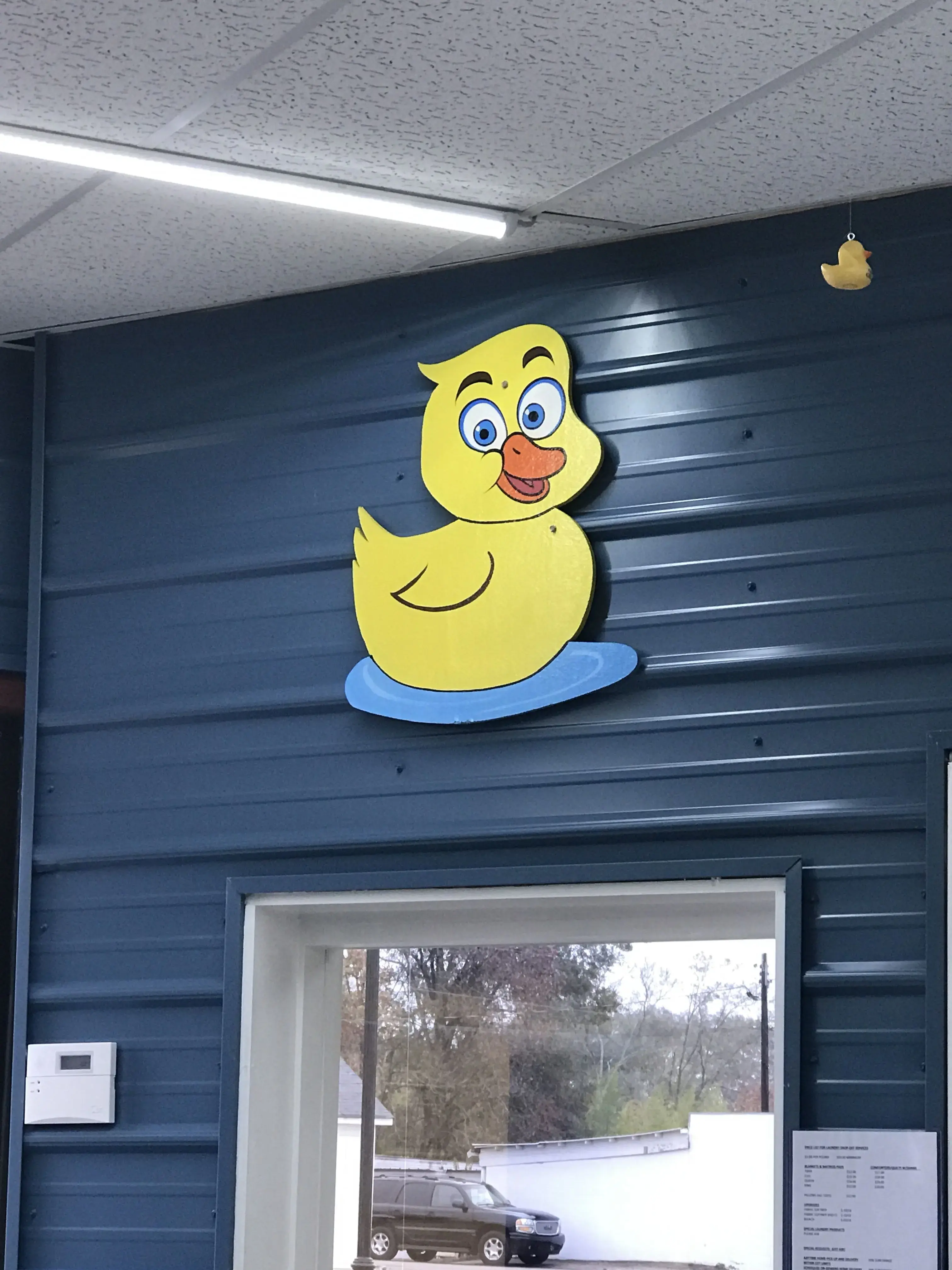Yellow Ducky Laundromat thumbnail 3