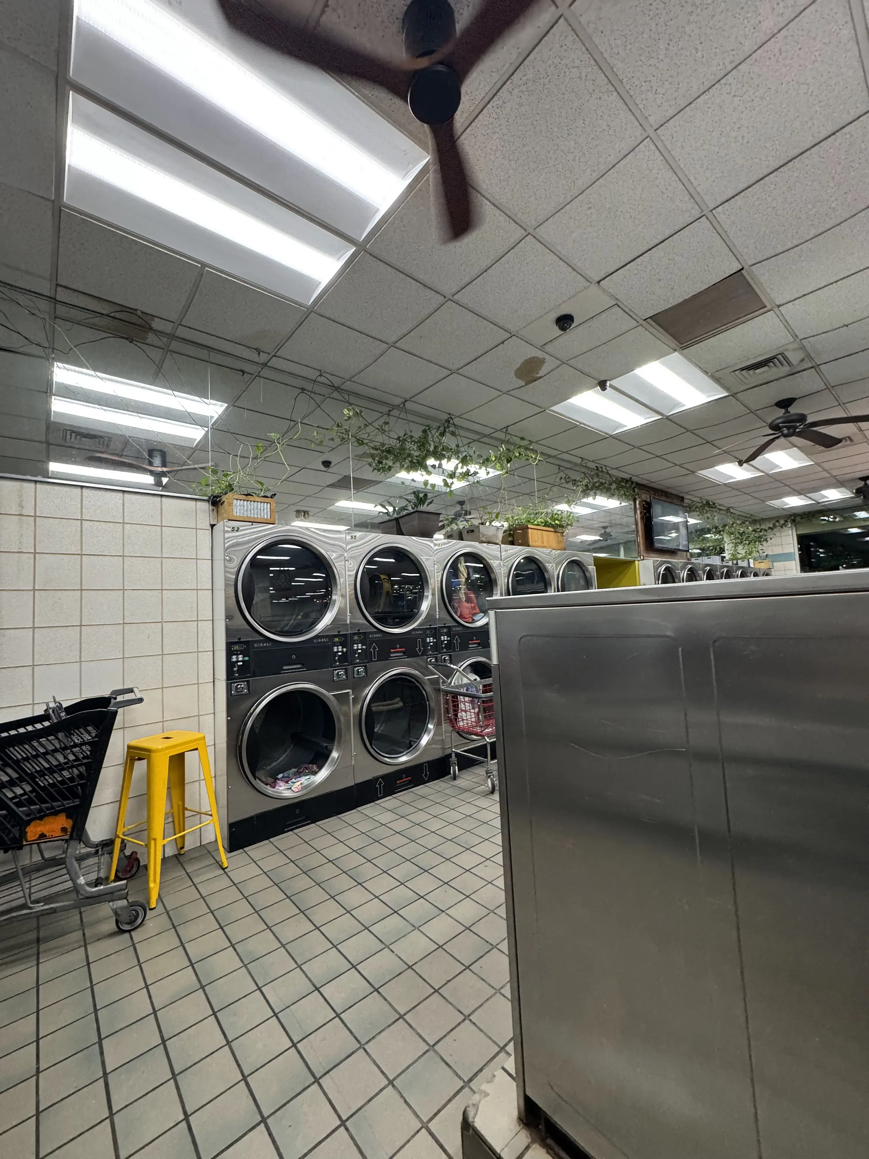 Yes Coin Laundry thumbnail 14