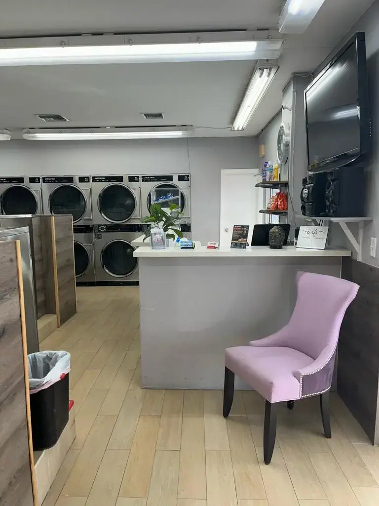 YLaundry - Image 3