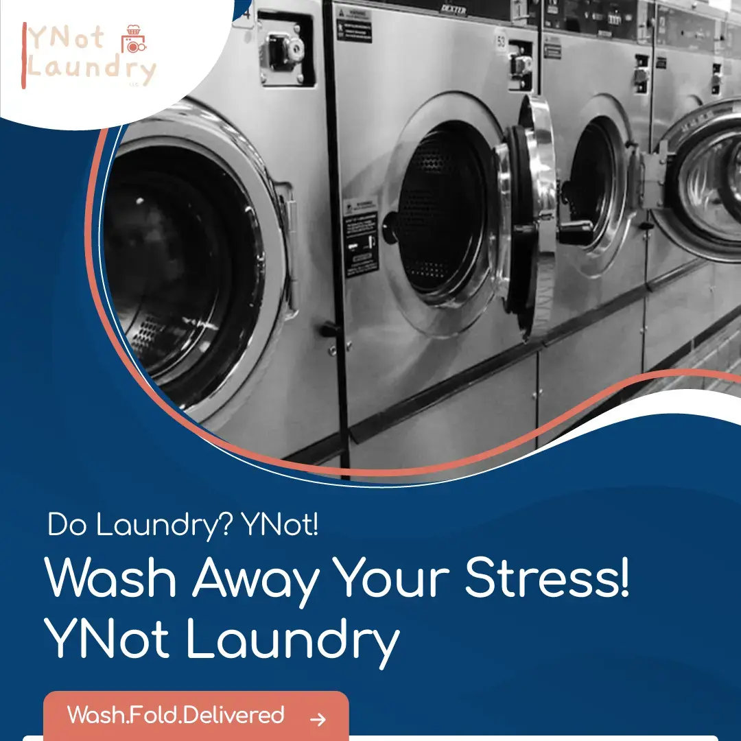 YNot Laundry - Villa Park thumbnail 19
