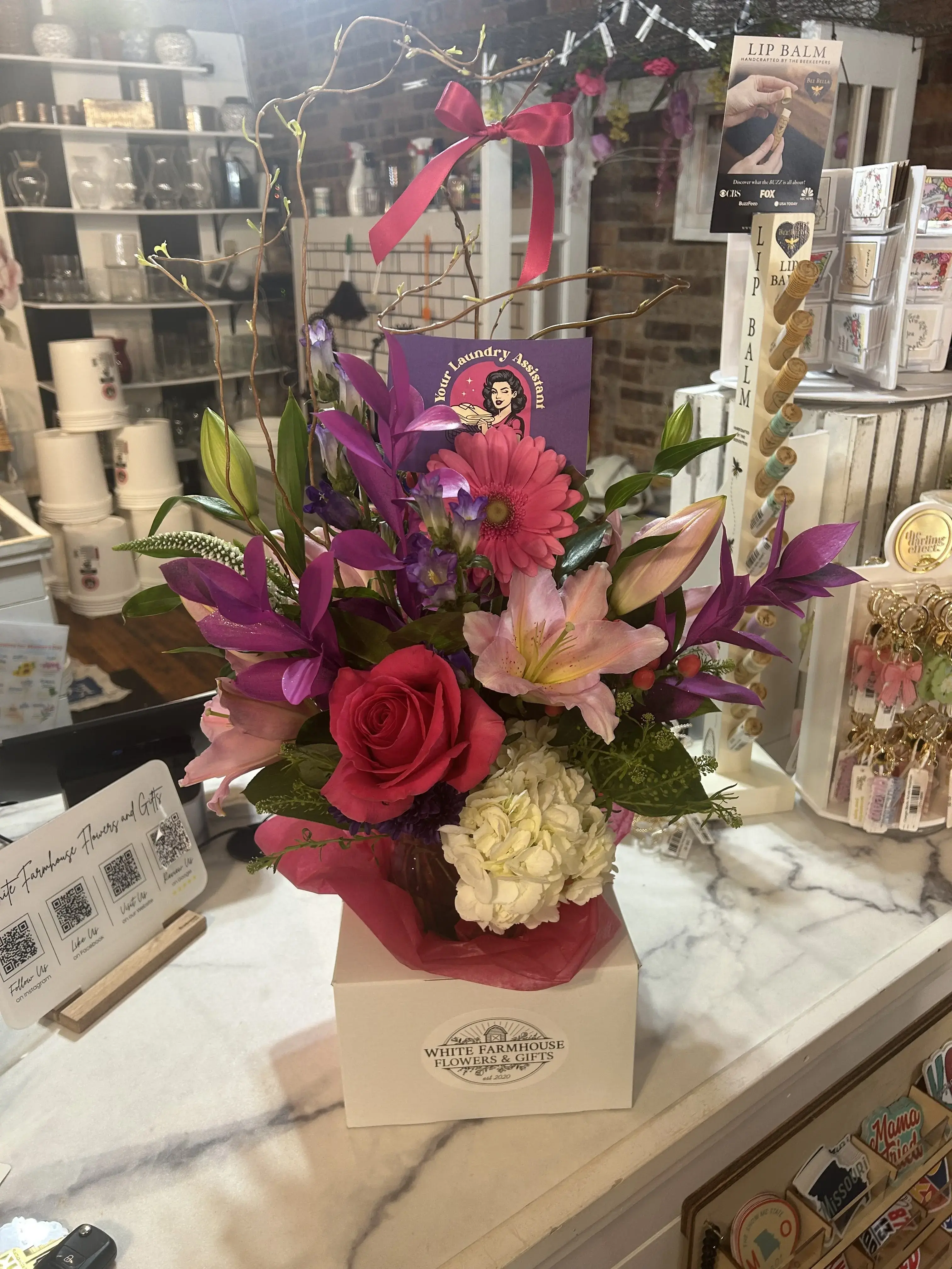 Your Laundry Assistant thumbnail 12