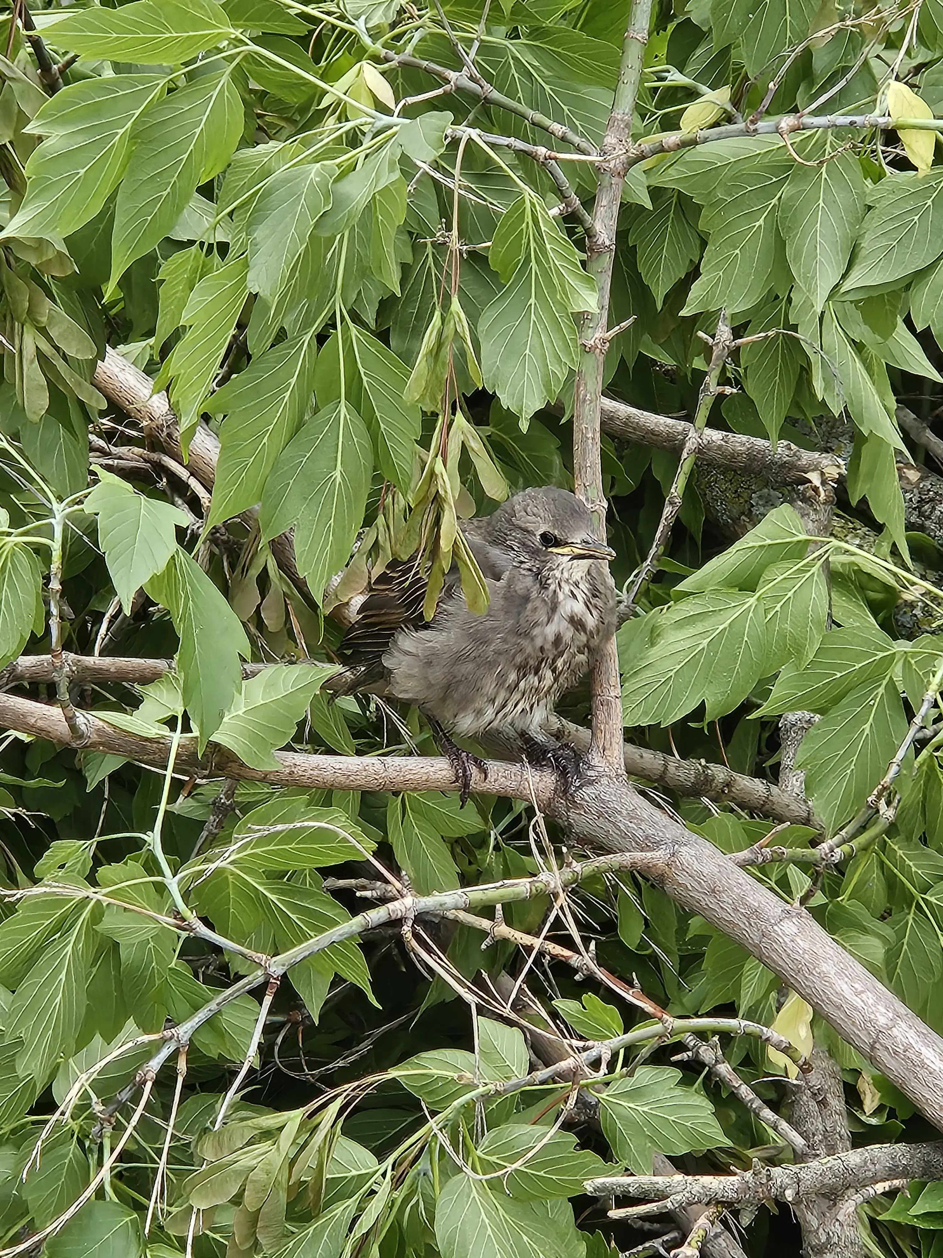 Your Laundry - Image 11