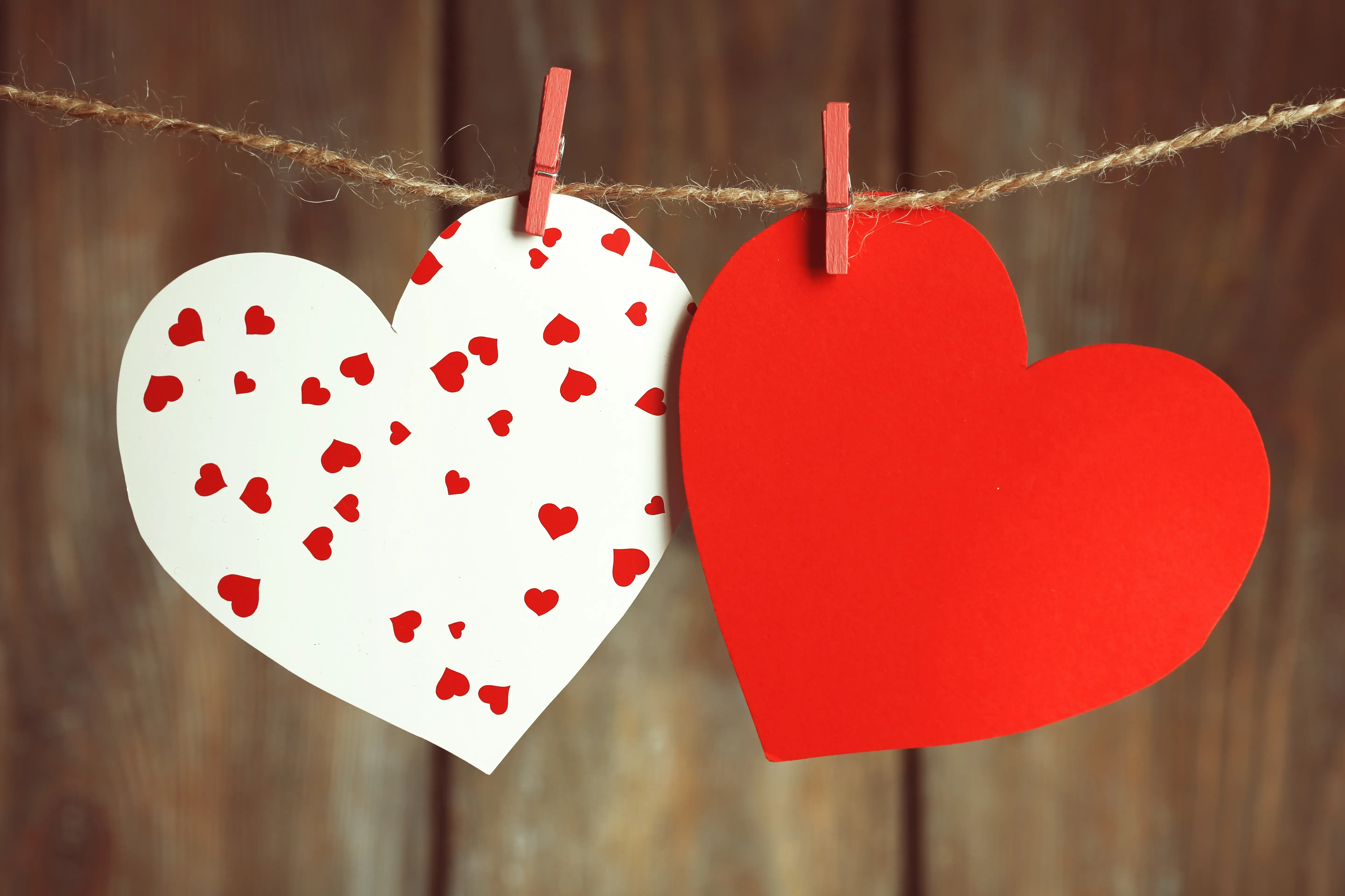 YoWash Laundromat thumbnail 17