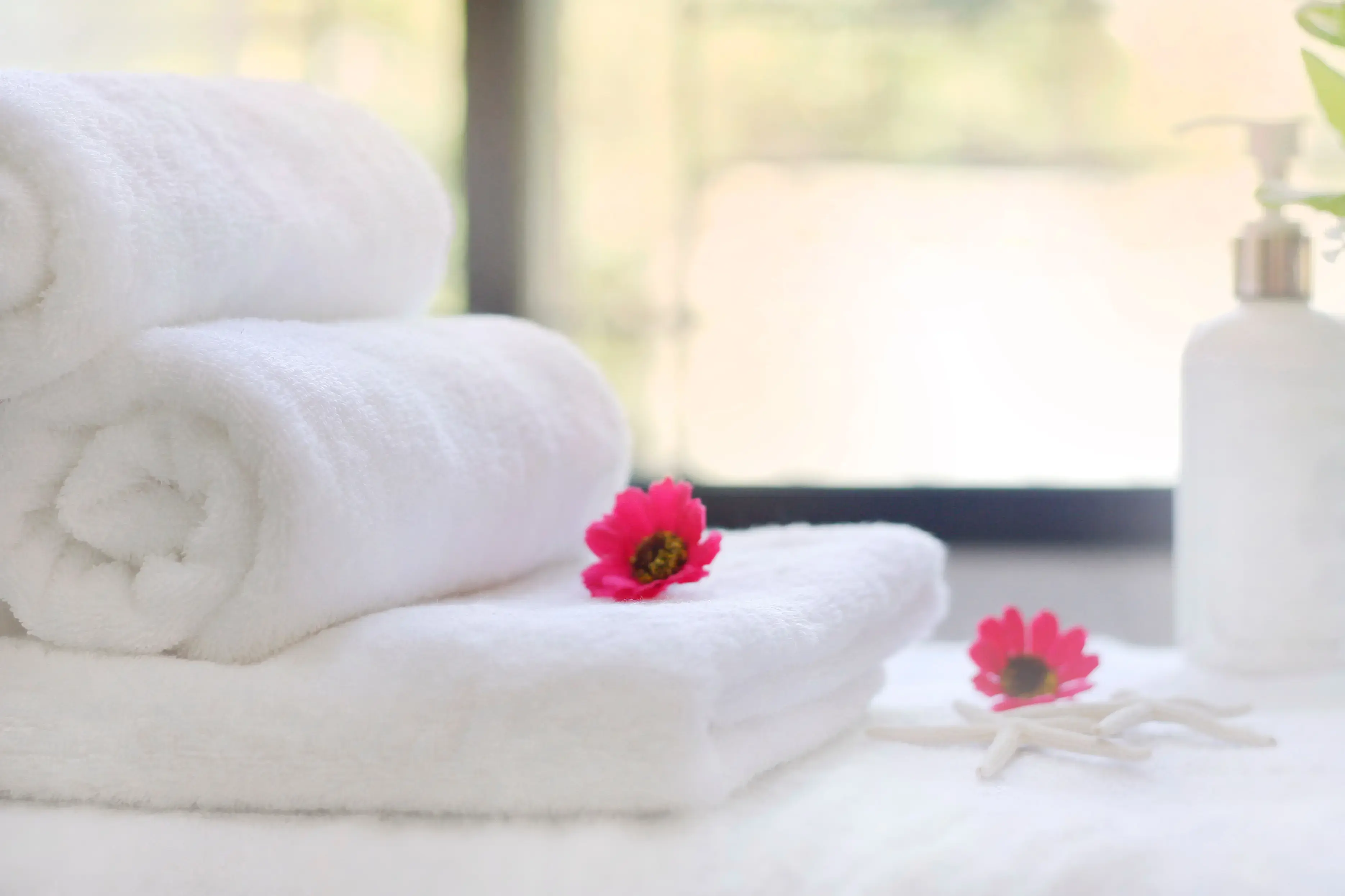 YoWash Laundromat - Image 5