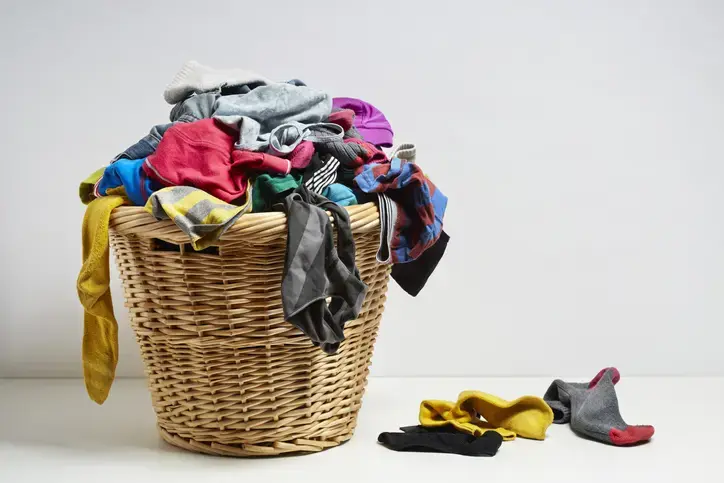 Z Clean Laundry thumbnail 2