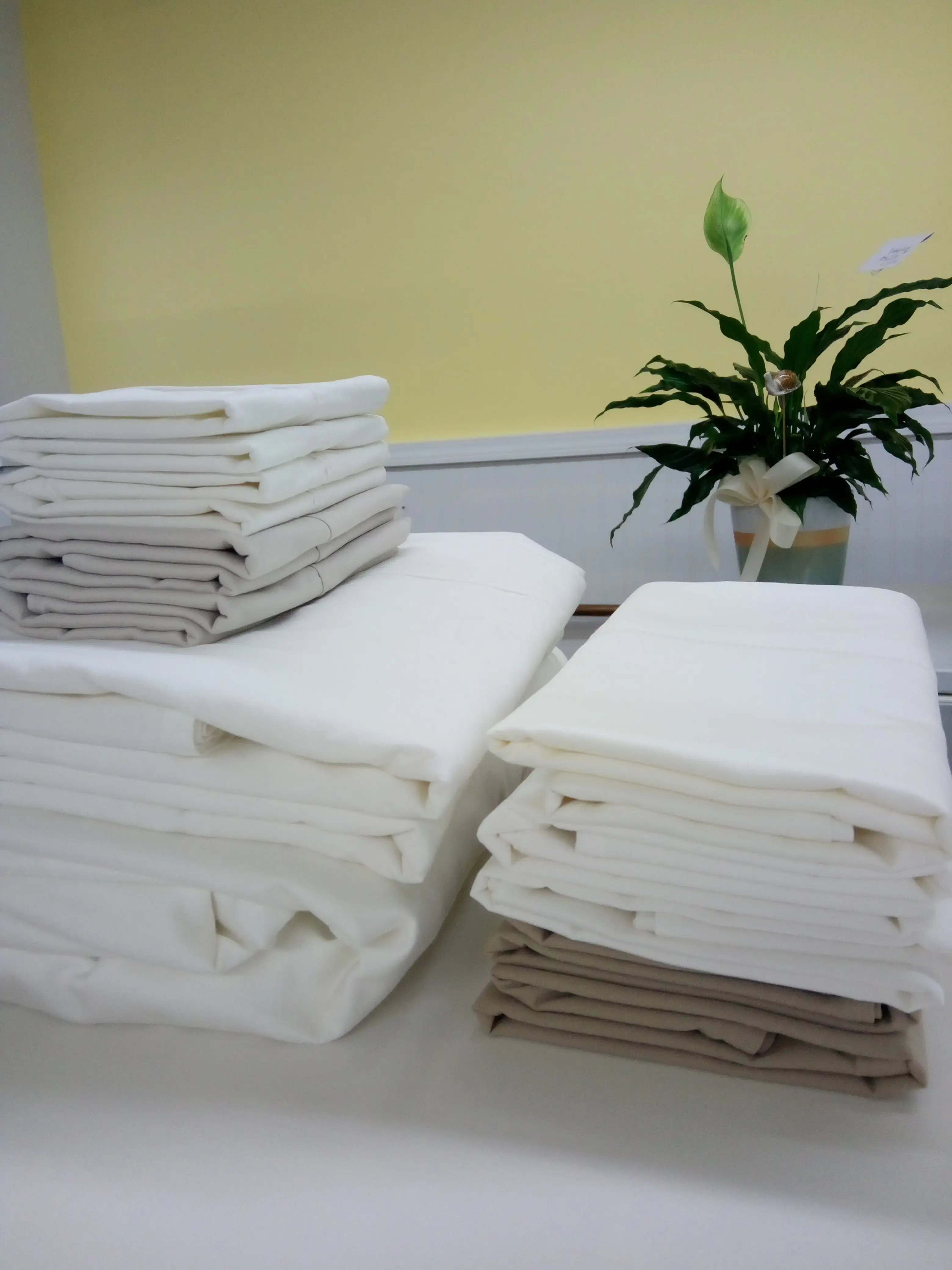 Z Clean Laundry - Image 6