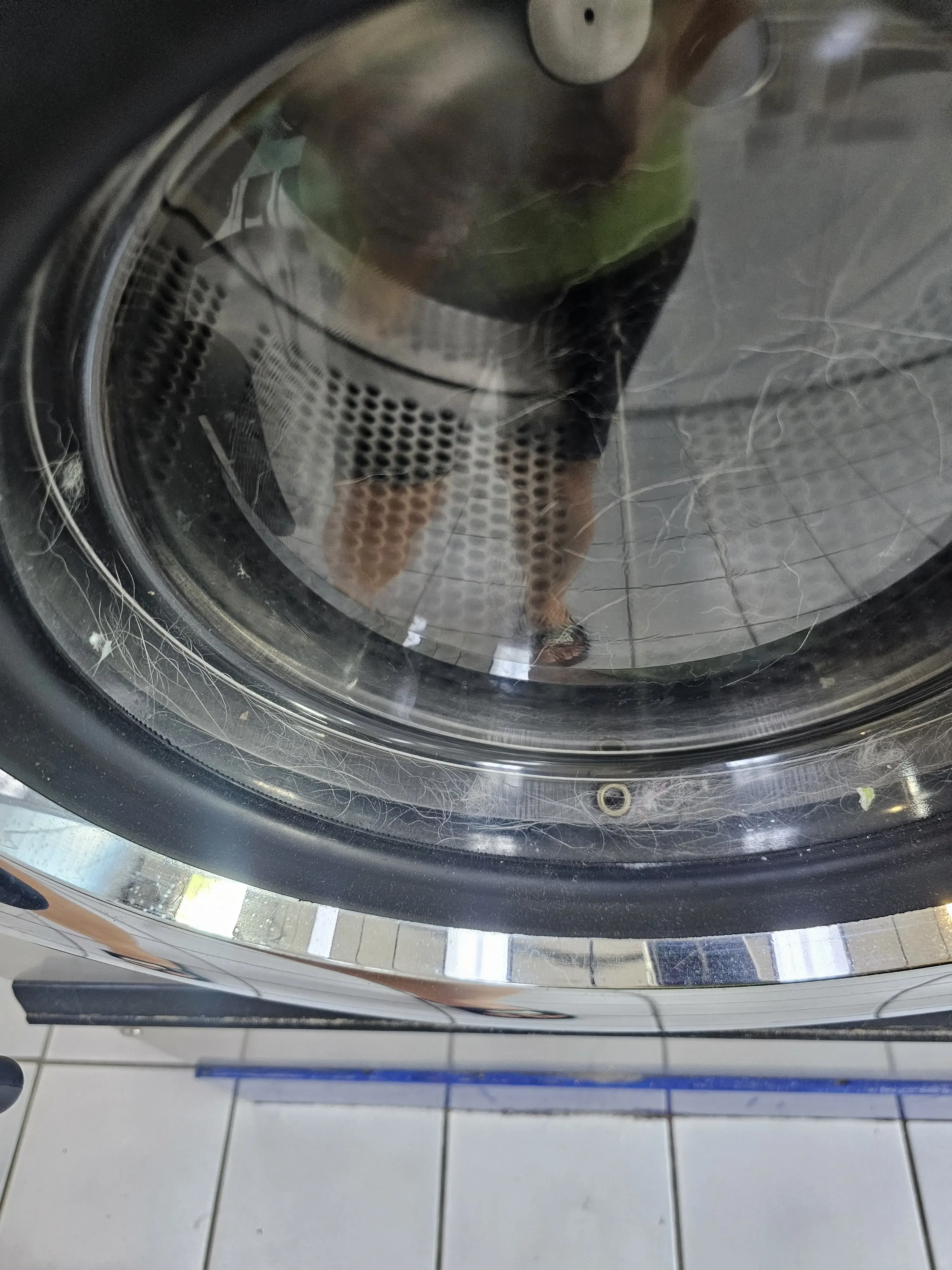 Zacherls Seneca Wash Center thumbnail 13