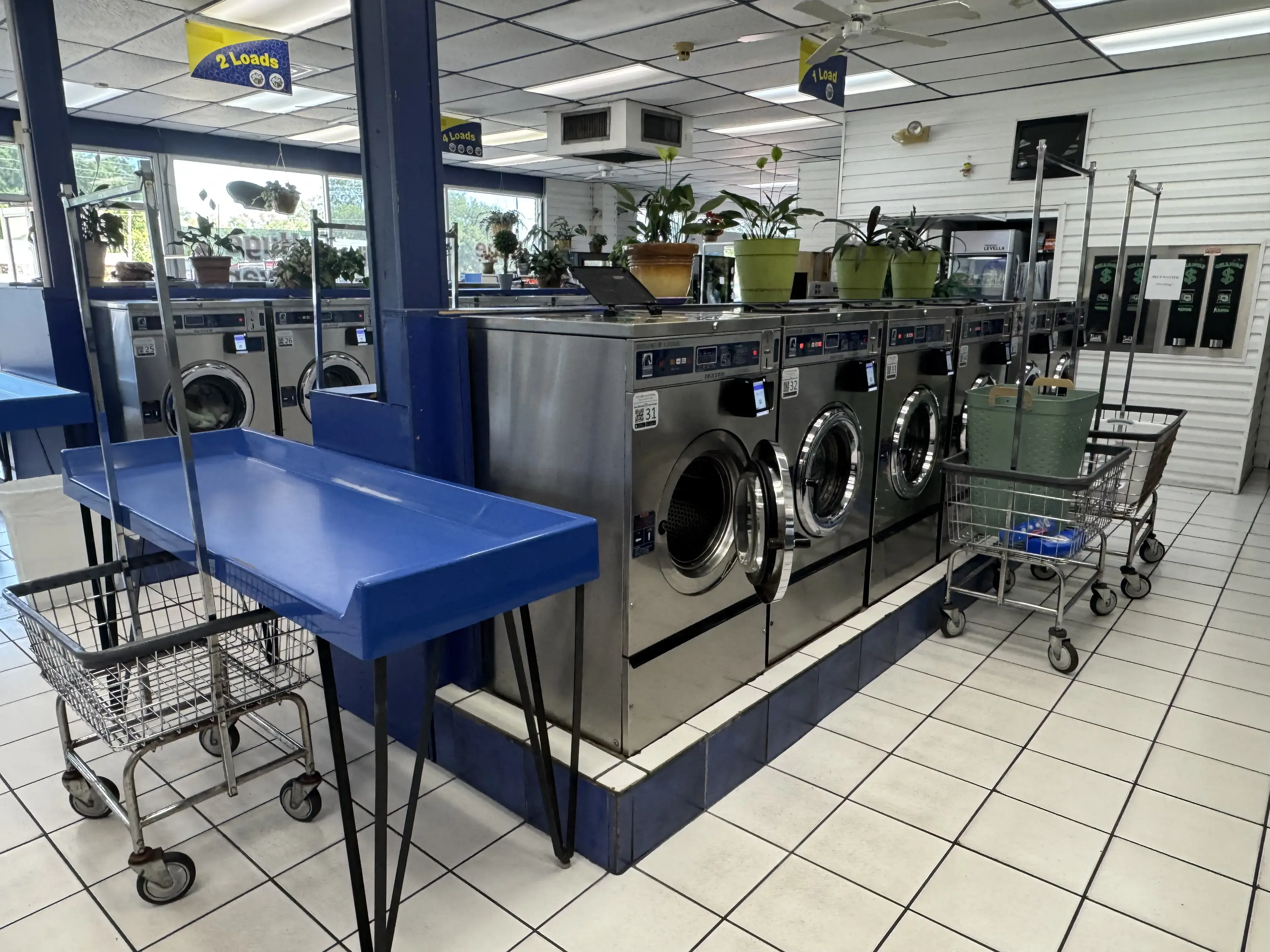 Zephyrhills Laundromat location