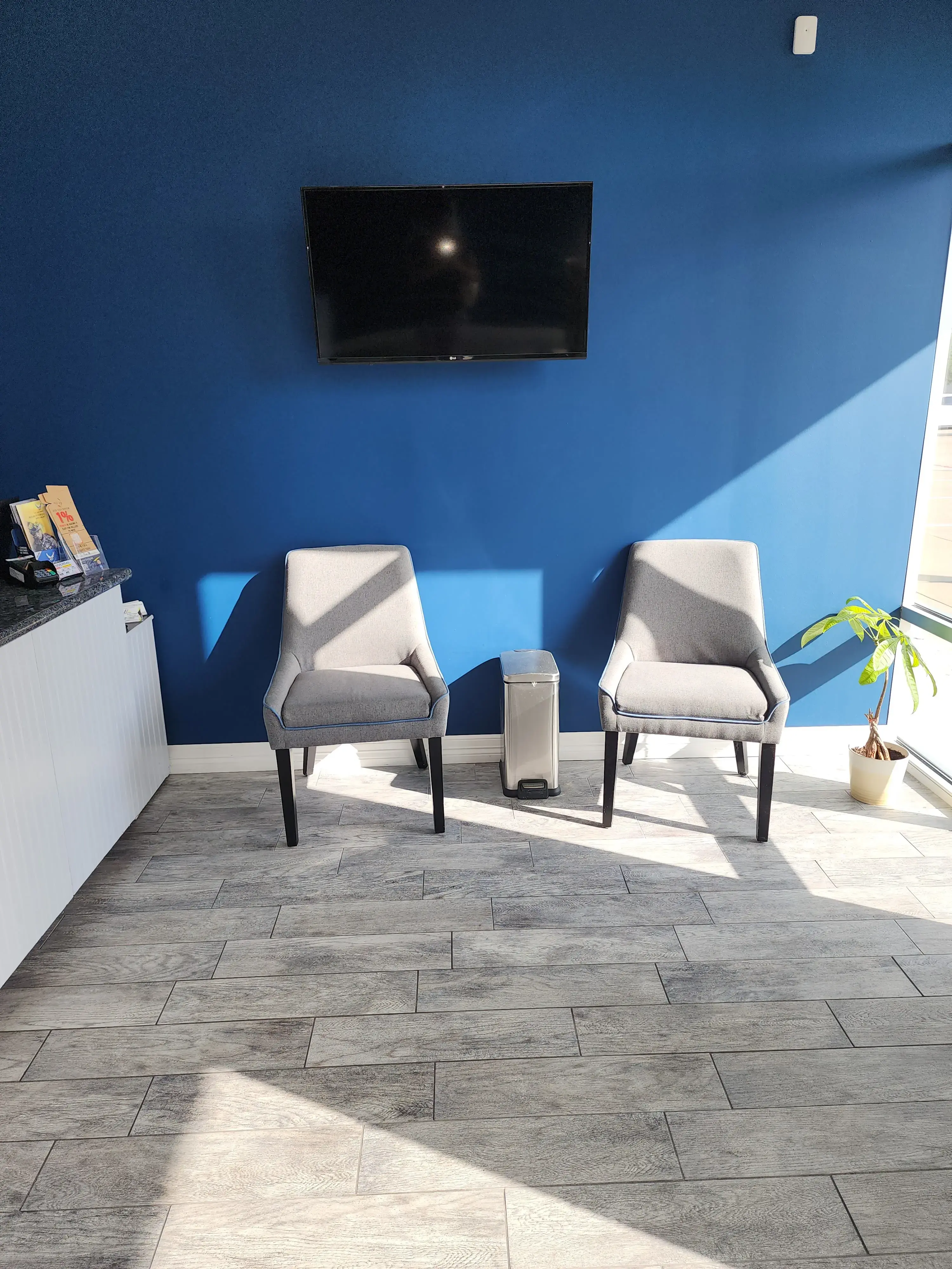 Zesty Cleaners - Image 3