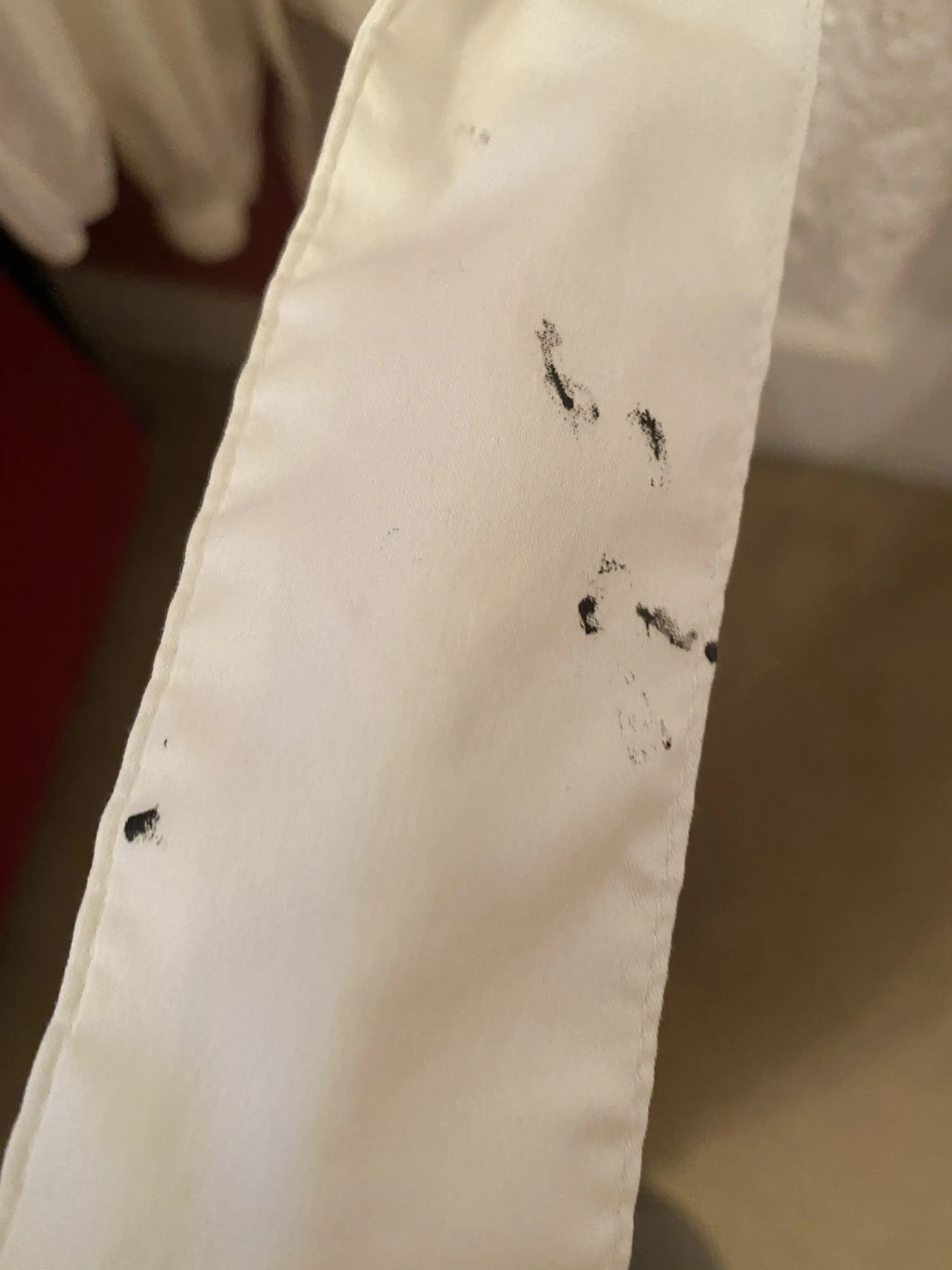ZIPS Cleaners - Image 7