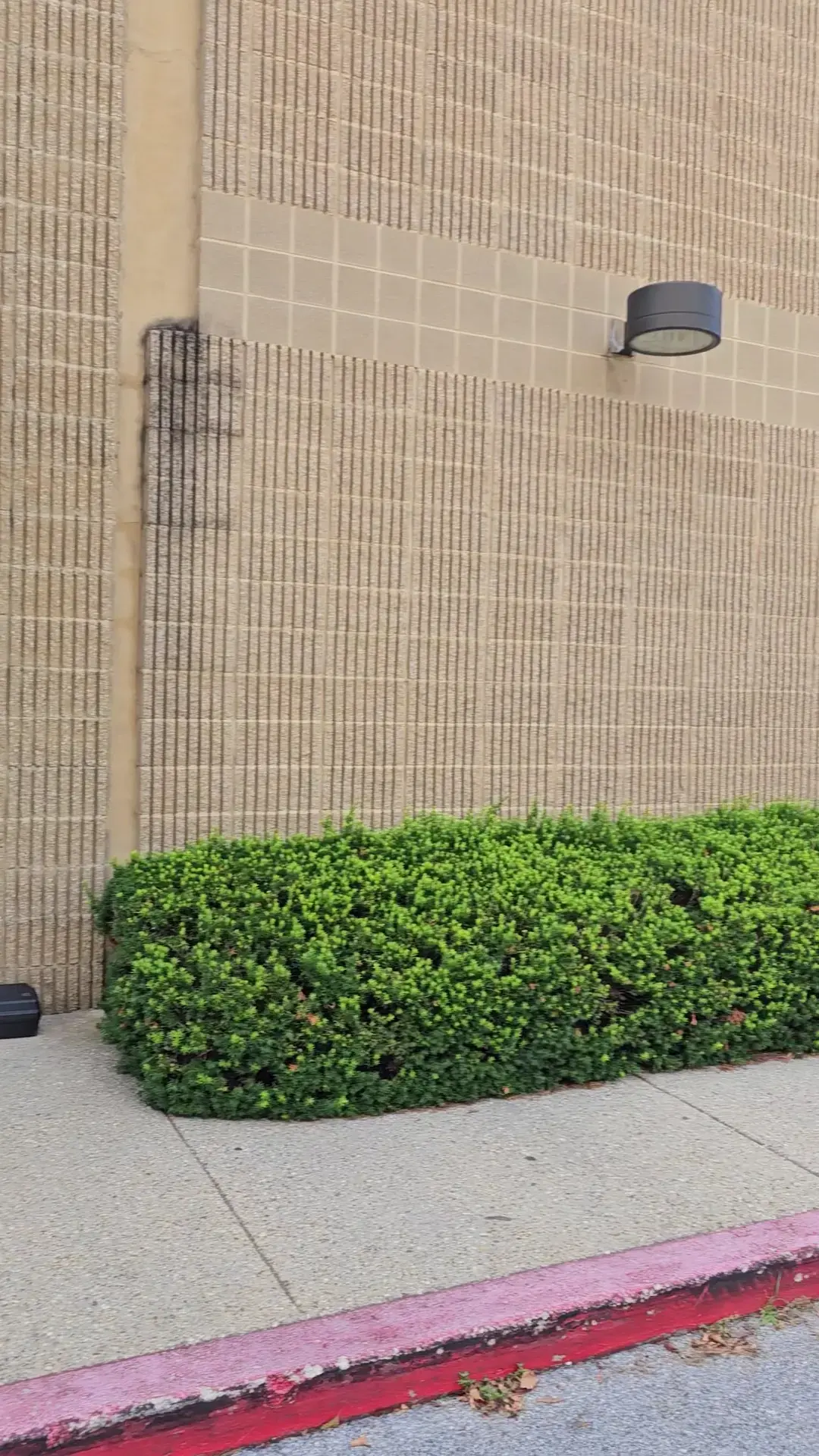 ZIPS Cleaners - Image 3