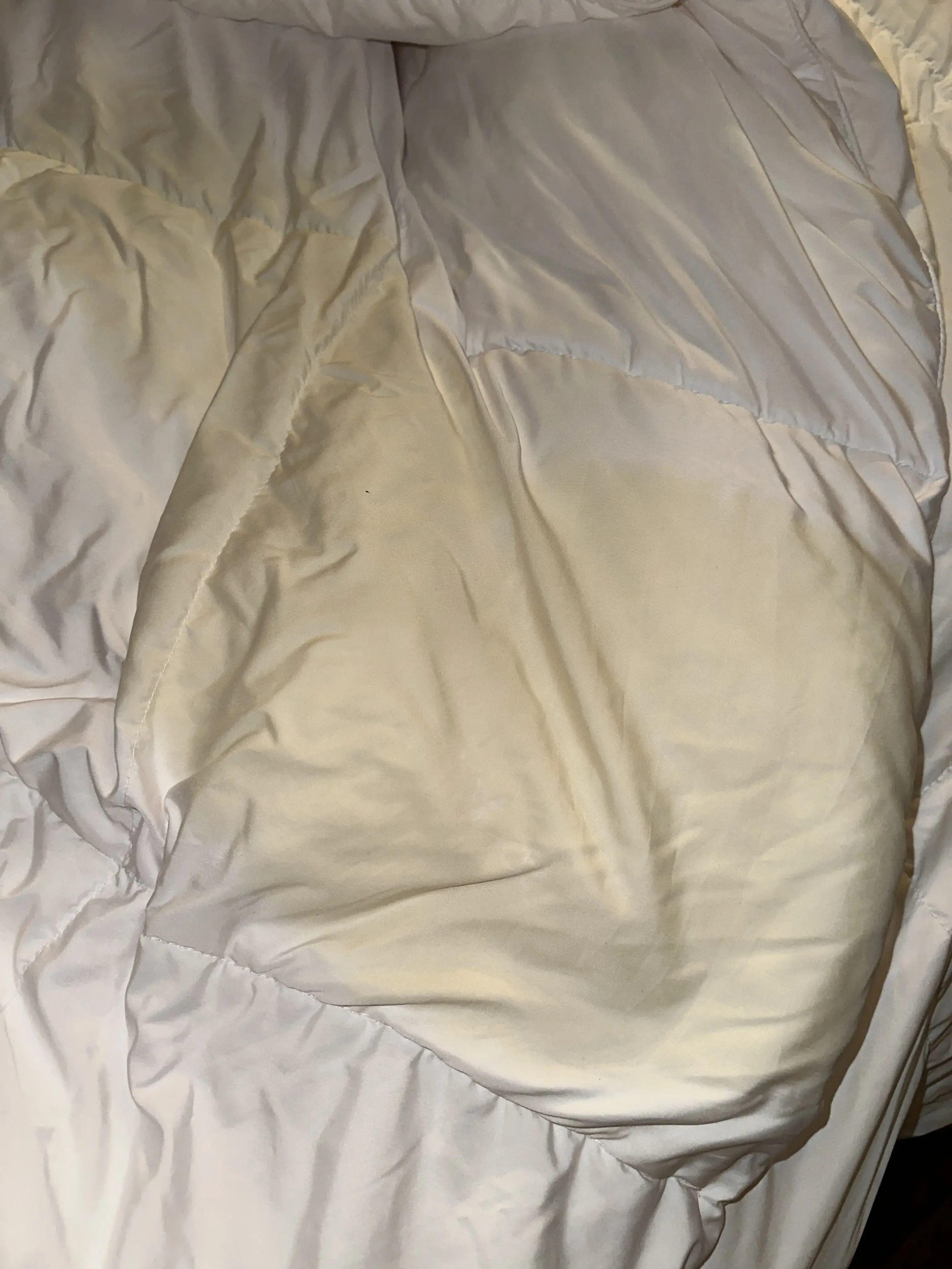 ZIPS Cleaners - Image 6